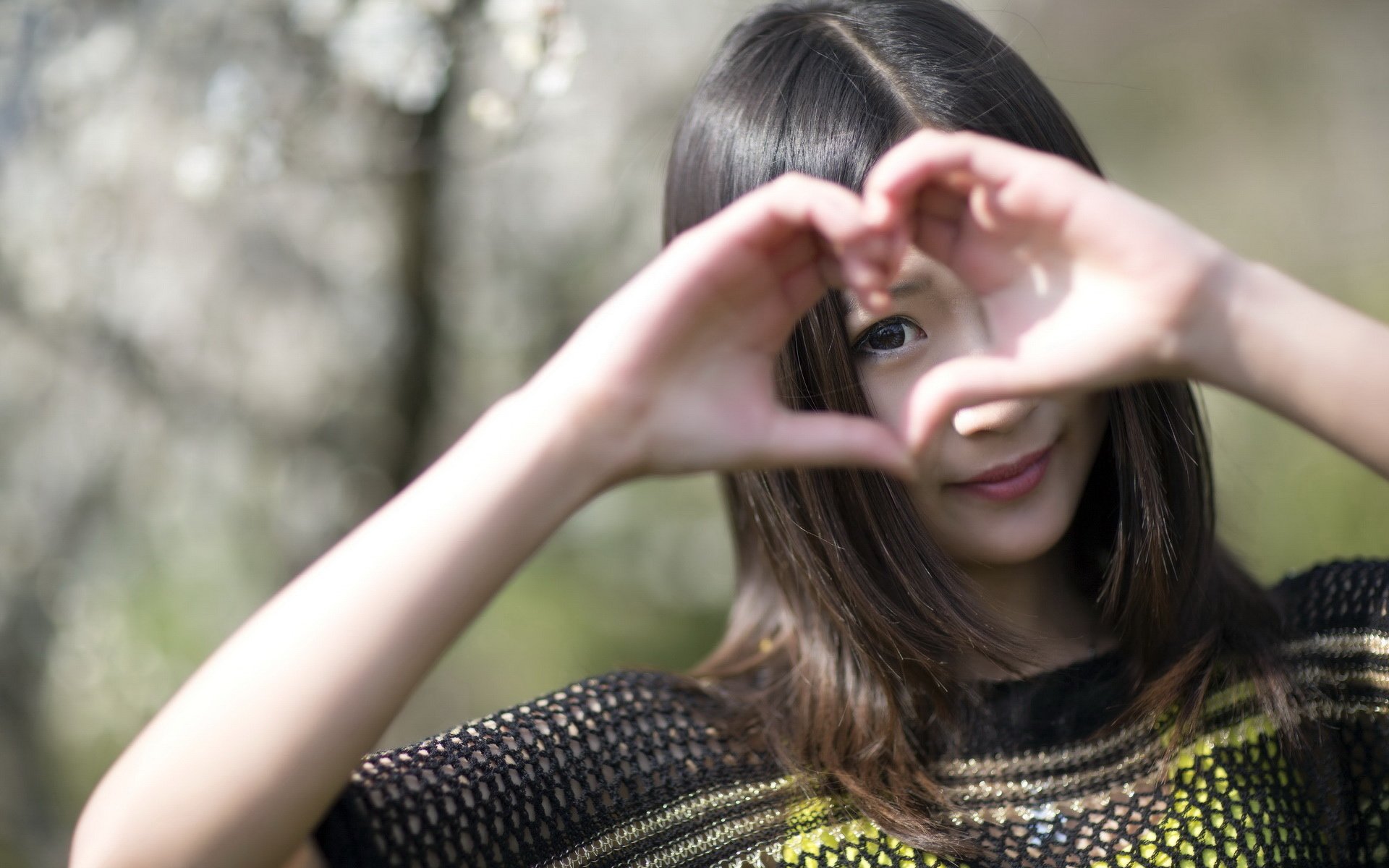 情感 亲情 爱情 浪漫