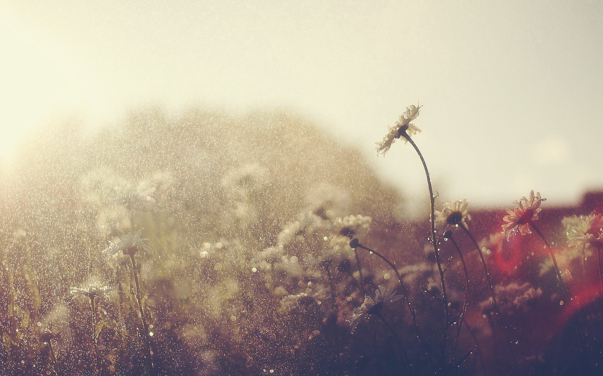 小清新 意境 摄影 非主流