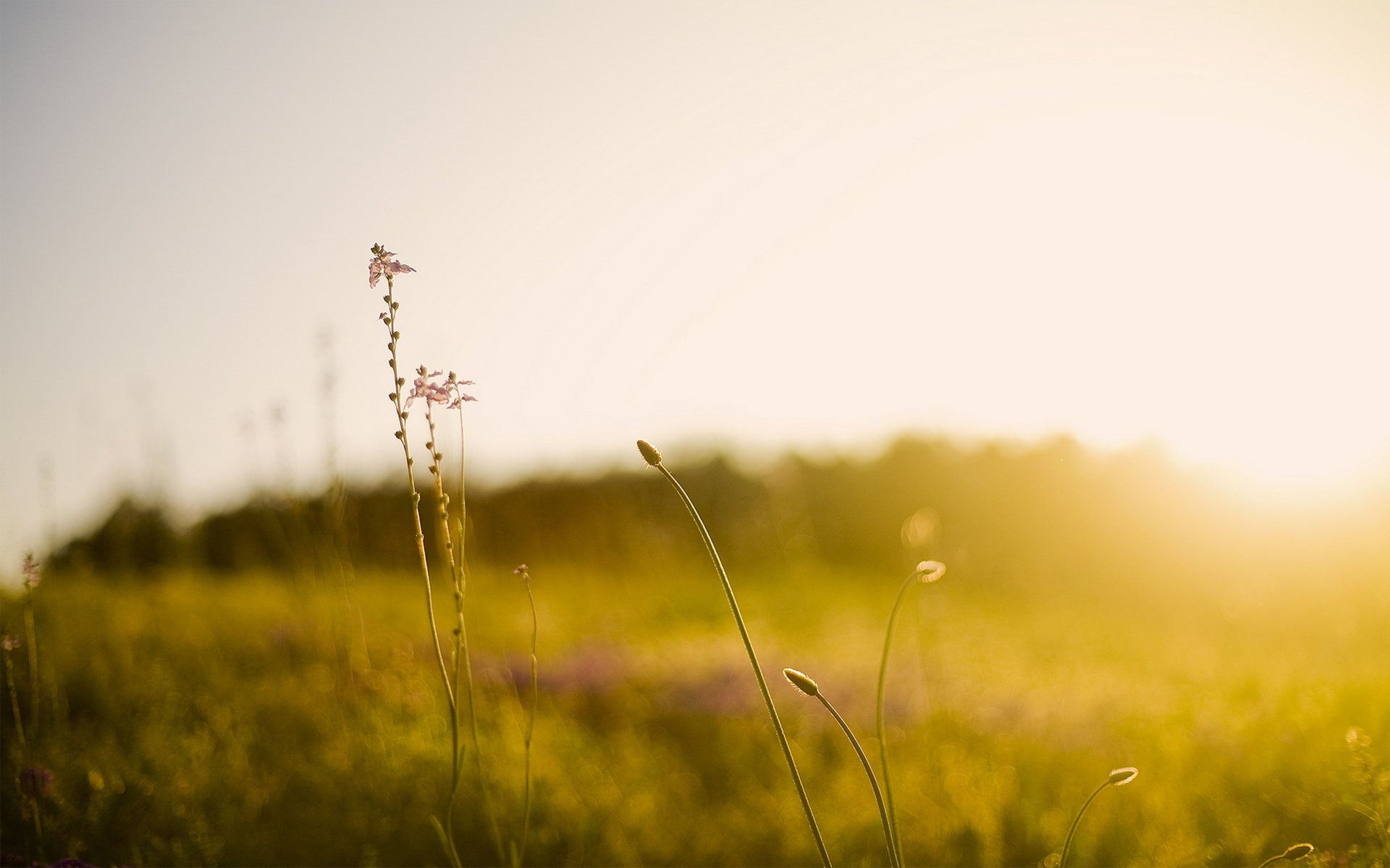 小清新 非主流 意境 摄影 儿童桌面专用