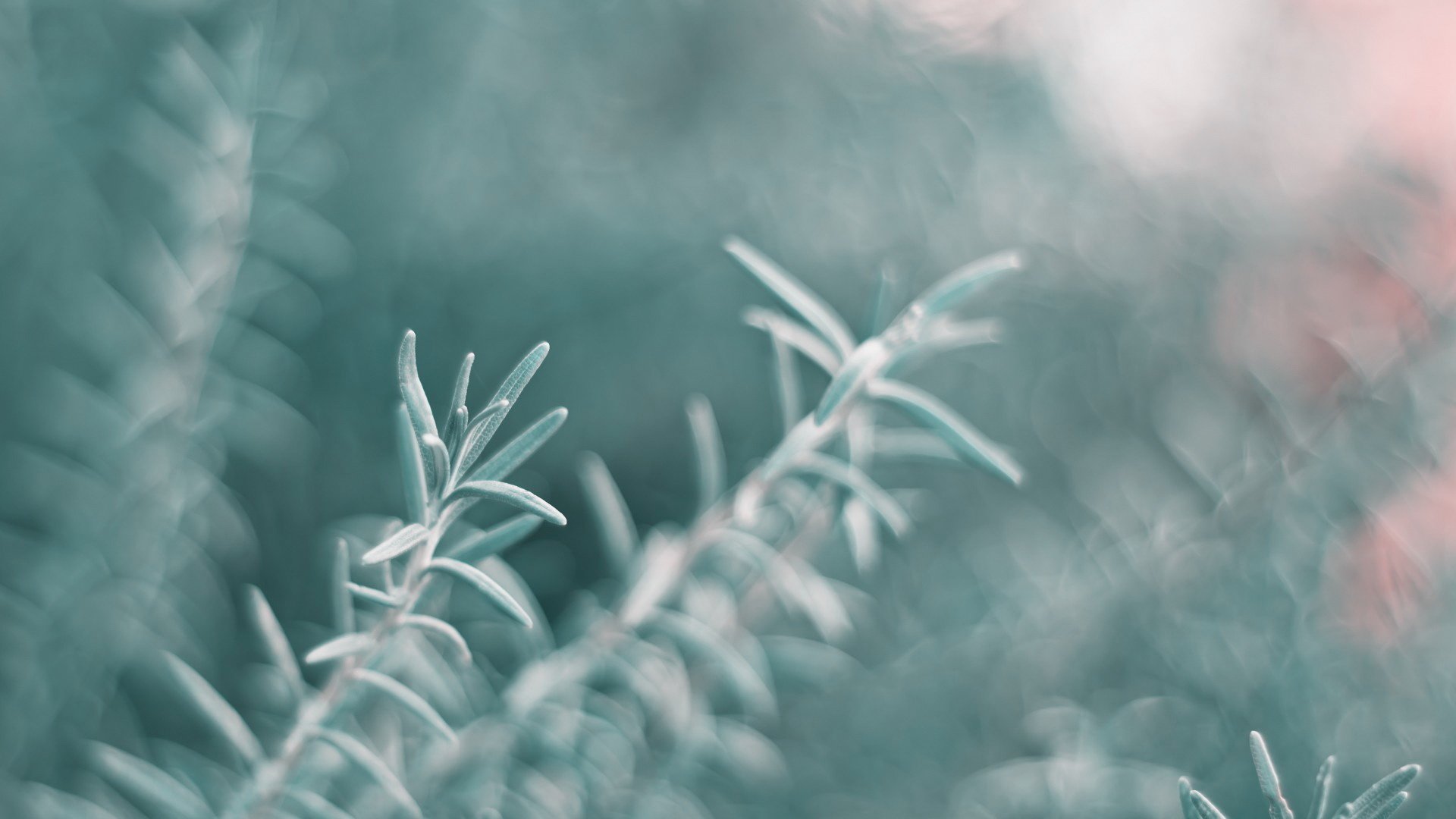 小清新 非主流 意境 摄影 儿童桌面专用