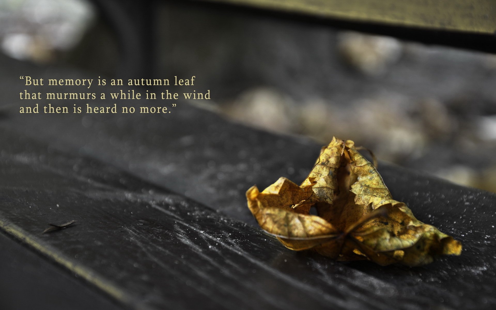 小清新 非主流 摄影 意境