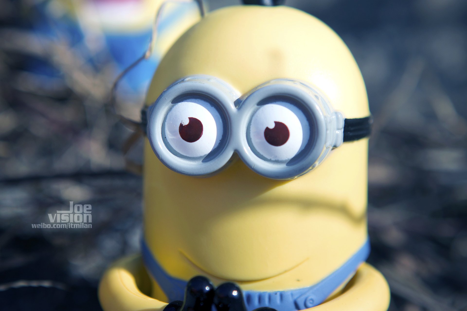 电影 卑鄙的我 神偷奶爸 小黄人 摄影 小黄人专辑