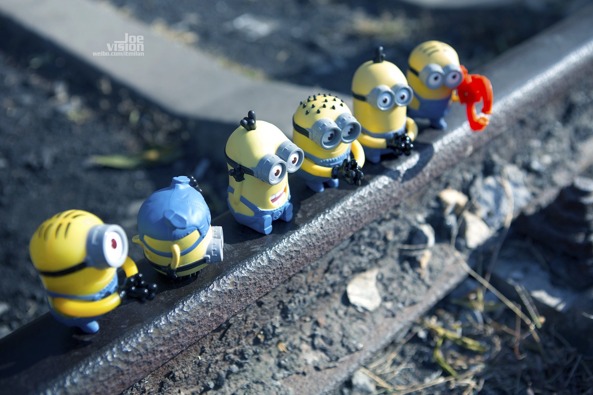 电影 卑鄙的我 神偷奶爸 小黄人 摄影 小黄人专辑