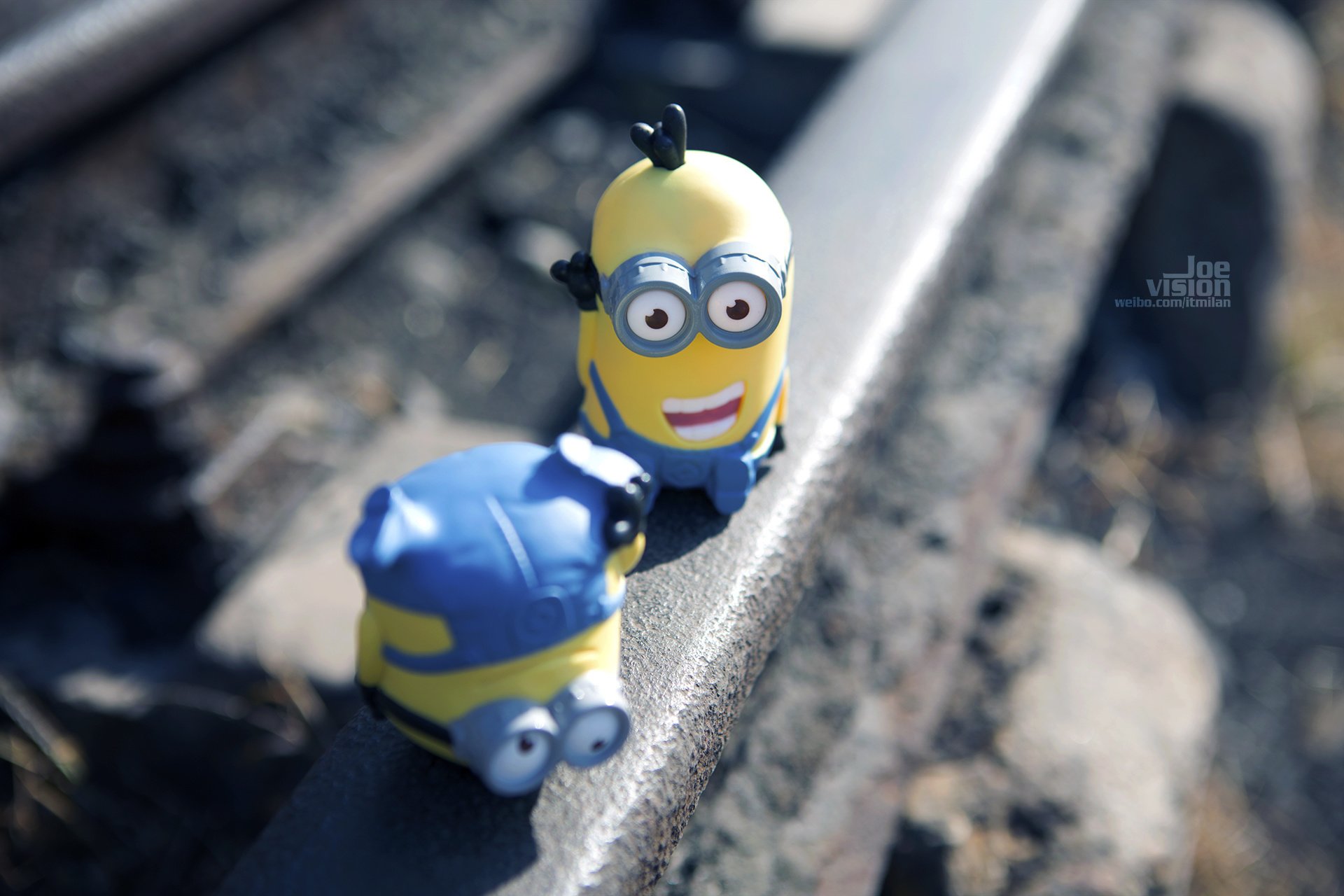 电影 卑鄙的我 神偷奶爸 小黄人 摄影 小黄人专辑