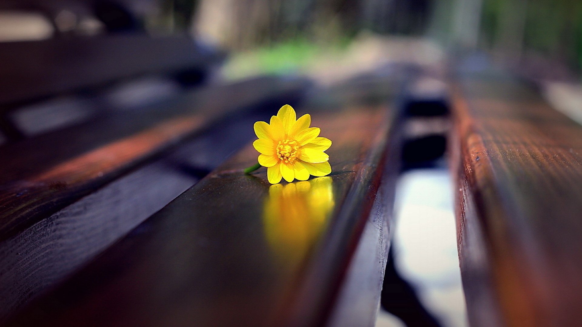 小清新 摄影 意境 非主流 轻松 儿童桌面专用