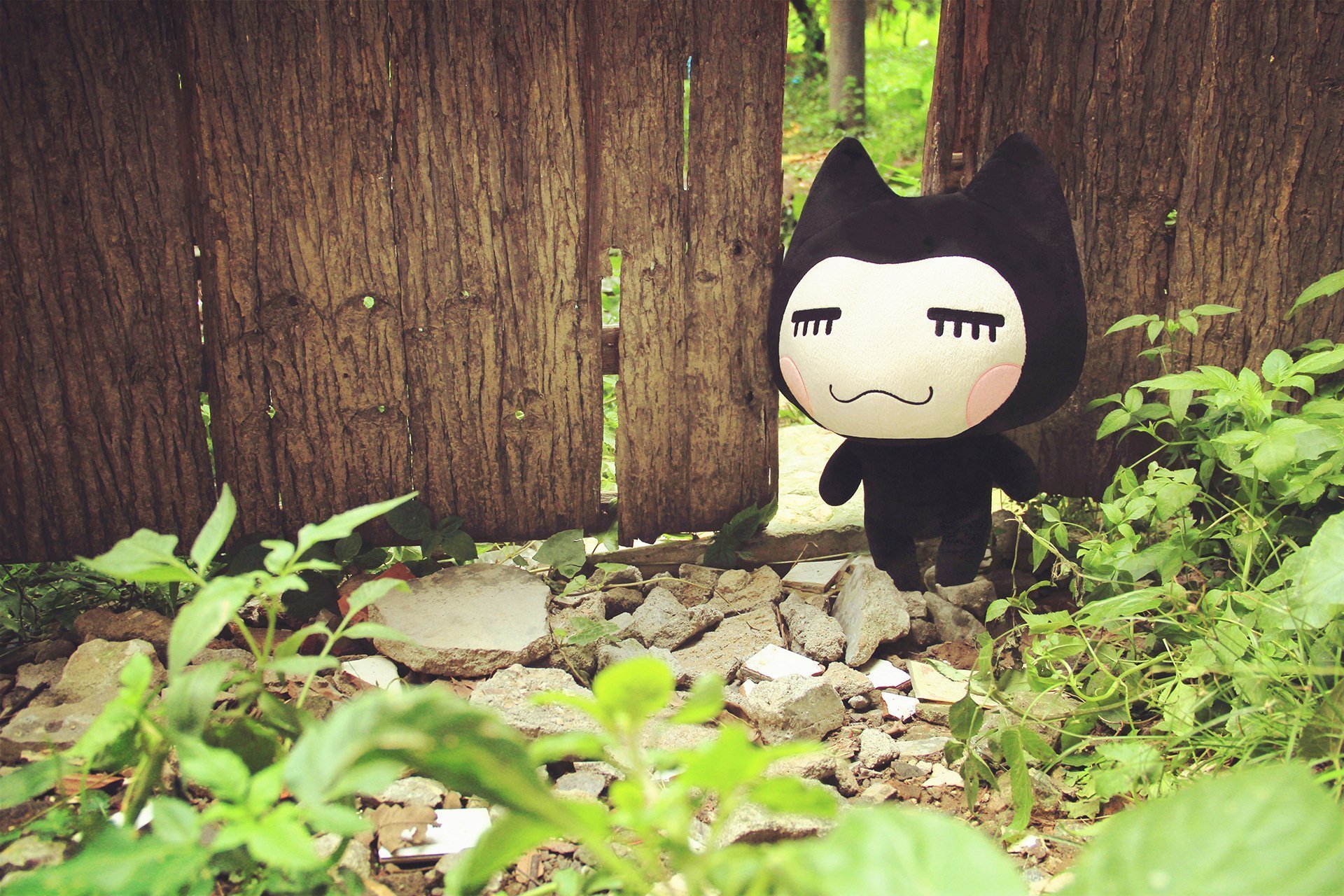 小左小右 小清新 摄影 儿童桌面专用