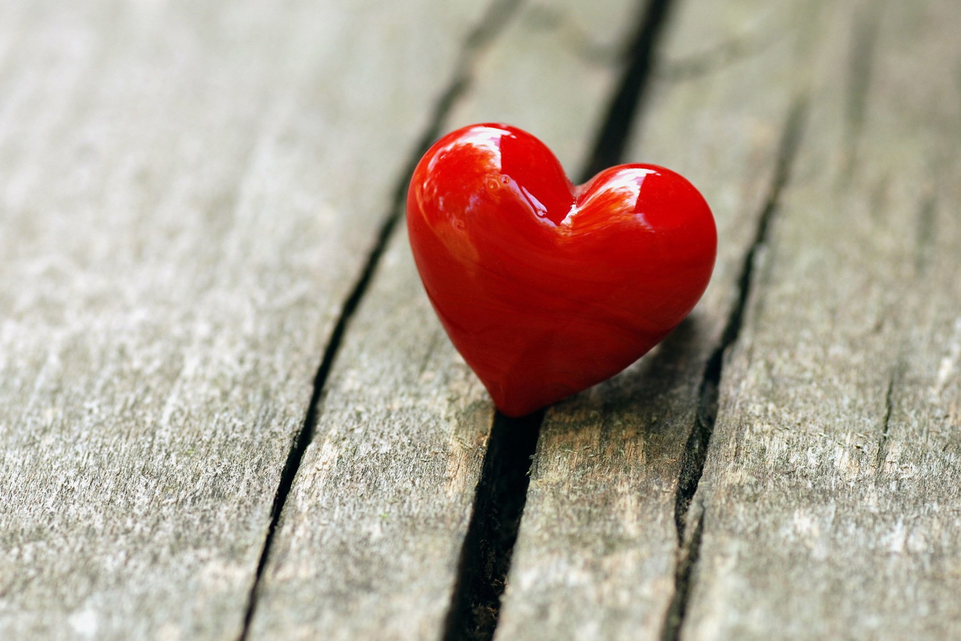 小清新 LOMO 摄影 静物 非主流 文艺 儿童桌面专用