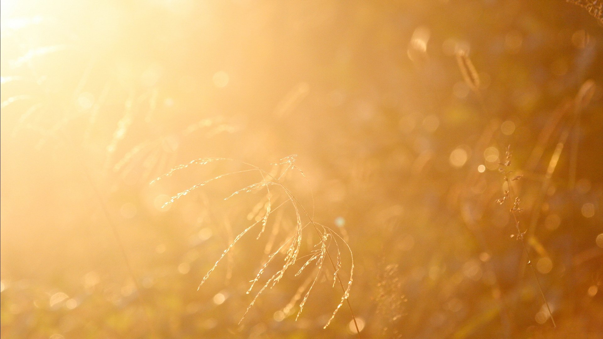 小清新 LOMO 意境 非主流 日系 儿童桌面专用