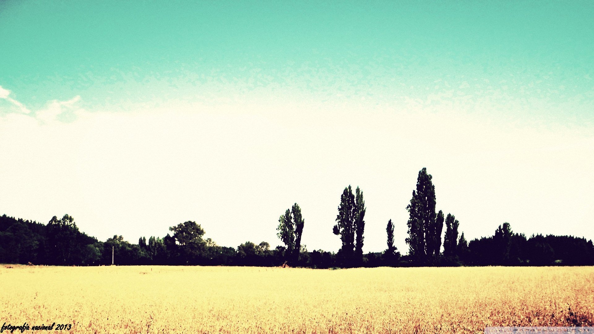 小清新 唯美 温暖 安静 阳光 温馨 儿童桌面专用