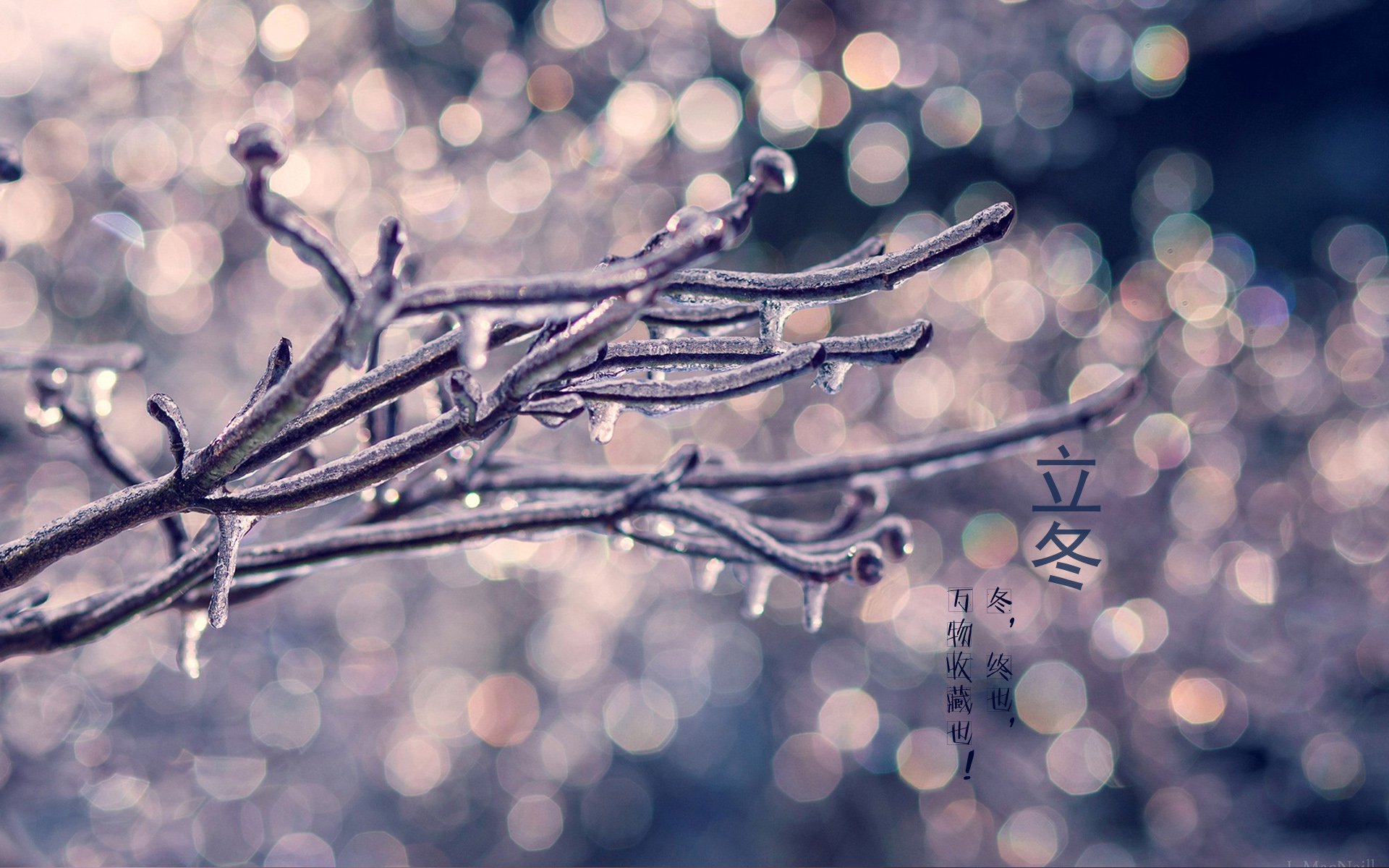 二十四节气 24节气 节气 风景 自然 风光 节日 立冬