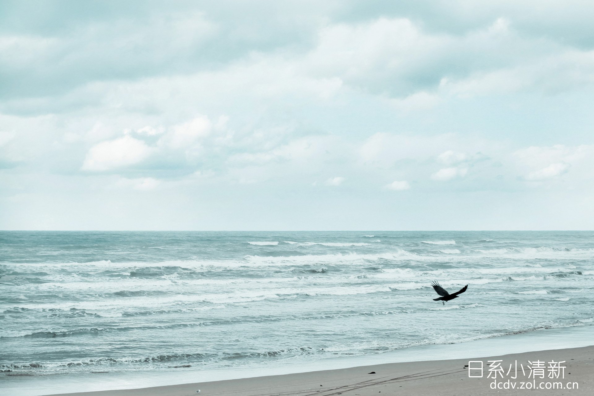 小清新 唯美 温馨 温暖 阳光 治愈系 安静 生活 慢生活 清新淡雅 温馨一刻 日系小清新 海边