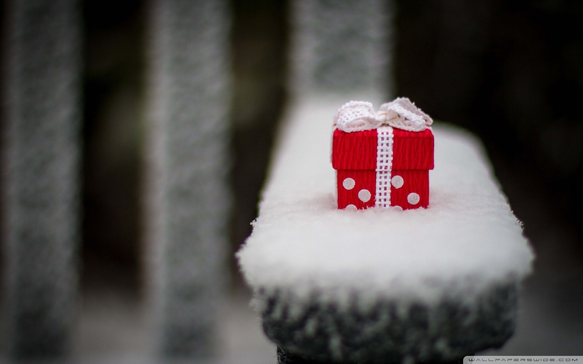 小清新 唯美 温馨 温暖 阳光 治愈系 安静 生活 慢生活 清新淡雅 温馨一刻 静物写真 物语  礼物 节日