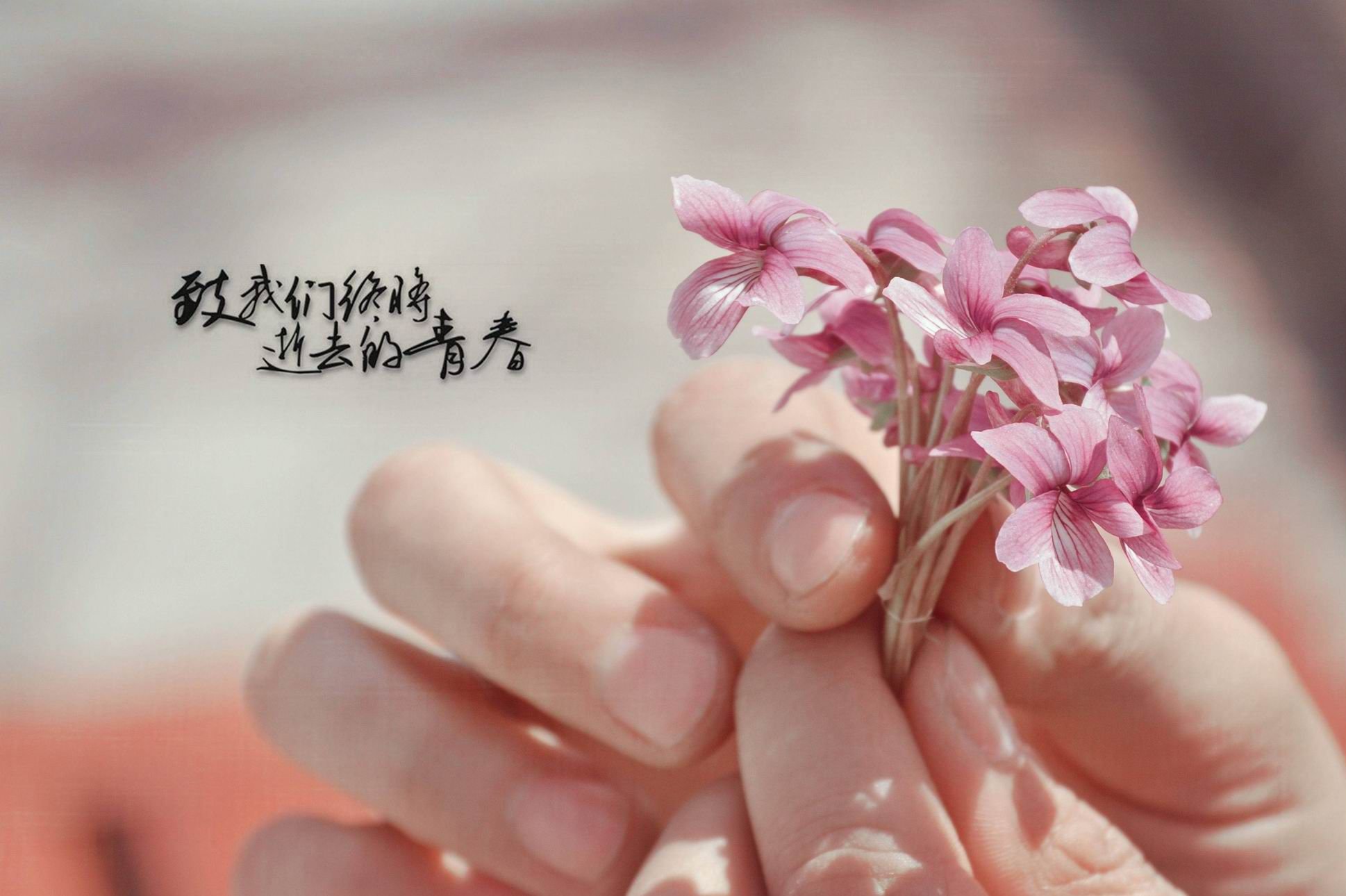 小清新 唯美 温馨 温暖 阳光 治愈系 安静 生活 慢生活 清新淡雅 温馨一刻 静物写真 物语  花 手