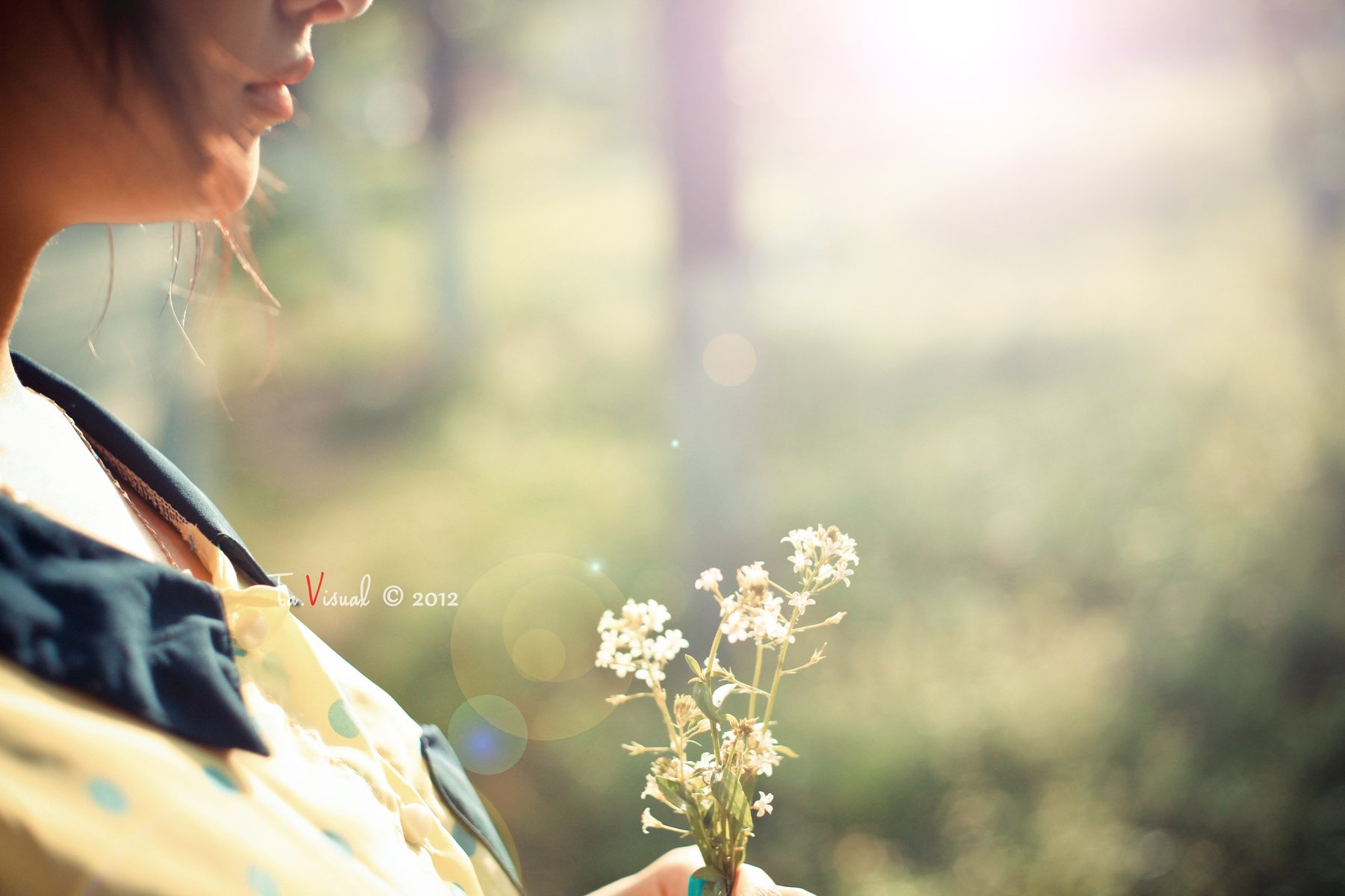 小清新 唯美 温馨 温暖 阳光 治愈系 安静 生活 慢生活 清新淡雅 温馨一刻 花  手 女孩 女生 等待