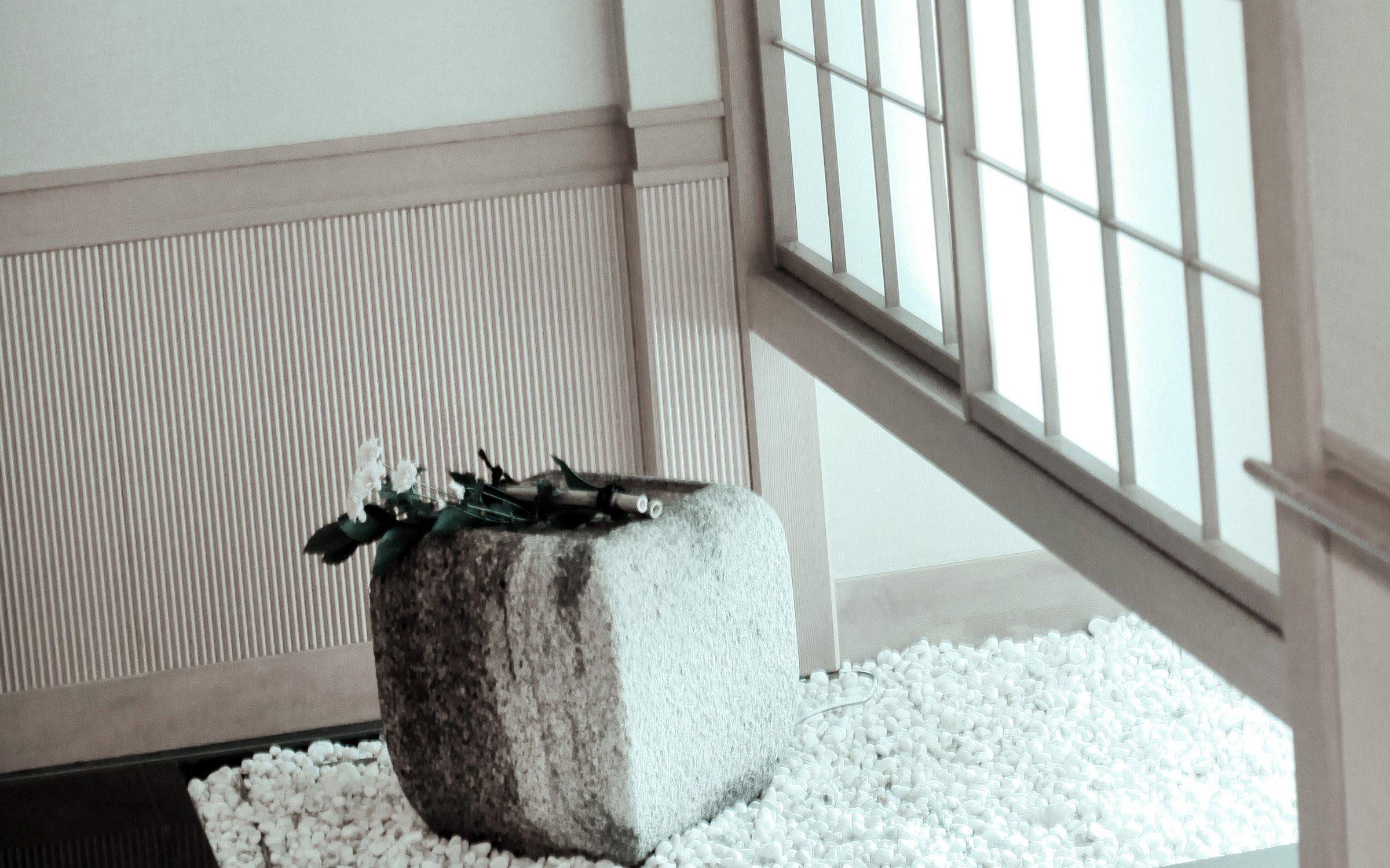 小清新 唯美 温馨 温暖 阳光 治愈系 安静 生活 慢生活 清新淡雅 温馨一刻