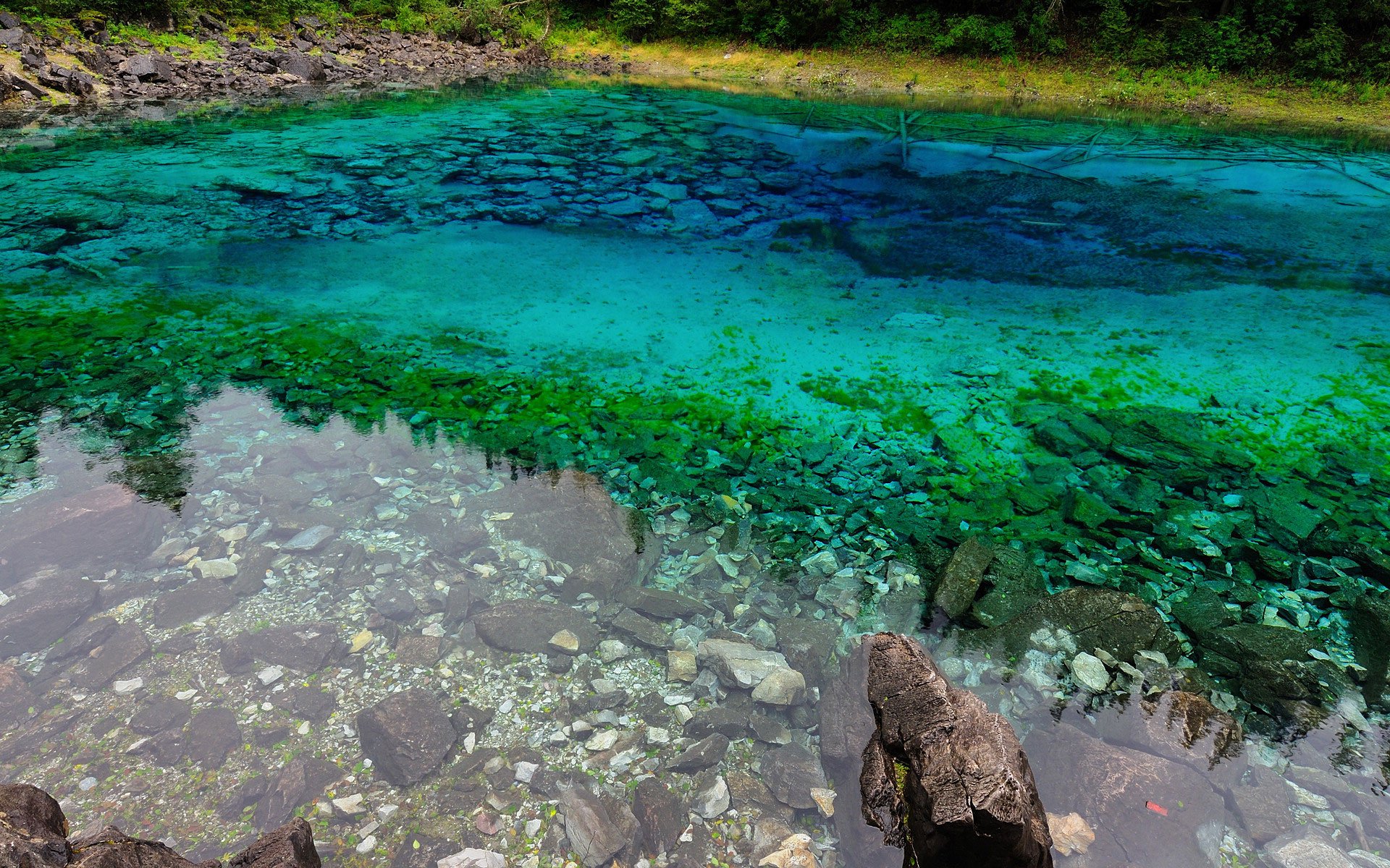 小清新 唯美 温馨 温暖 阳光 绿色养眼 自然  大海