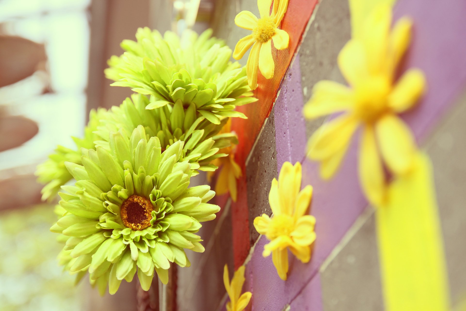 小清新 唯美 温馨 温暖 阳光 绿色养眼 自然  清新淡雅 花 春天  花团锦簇