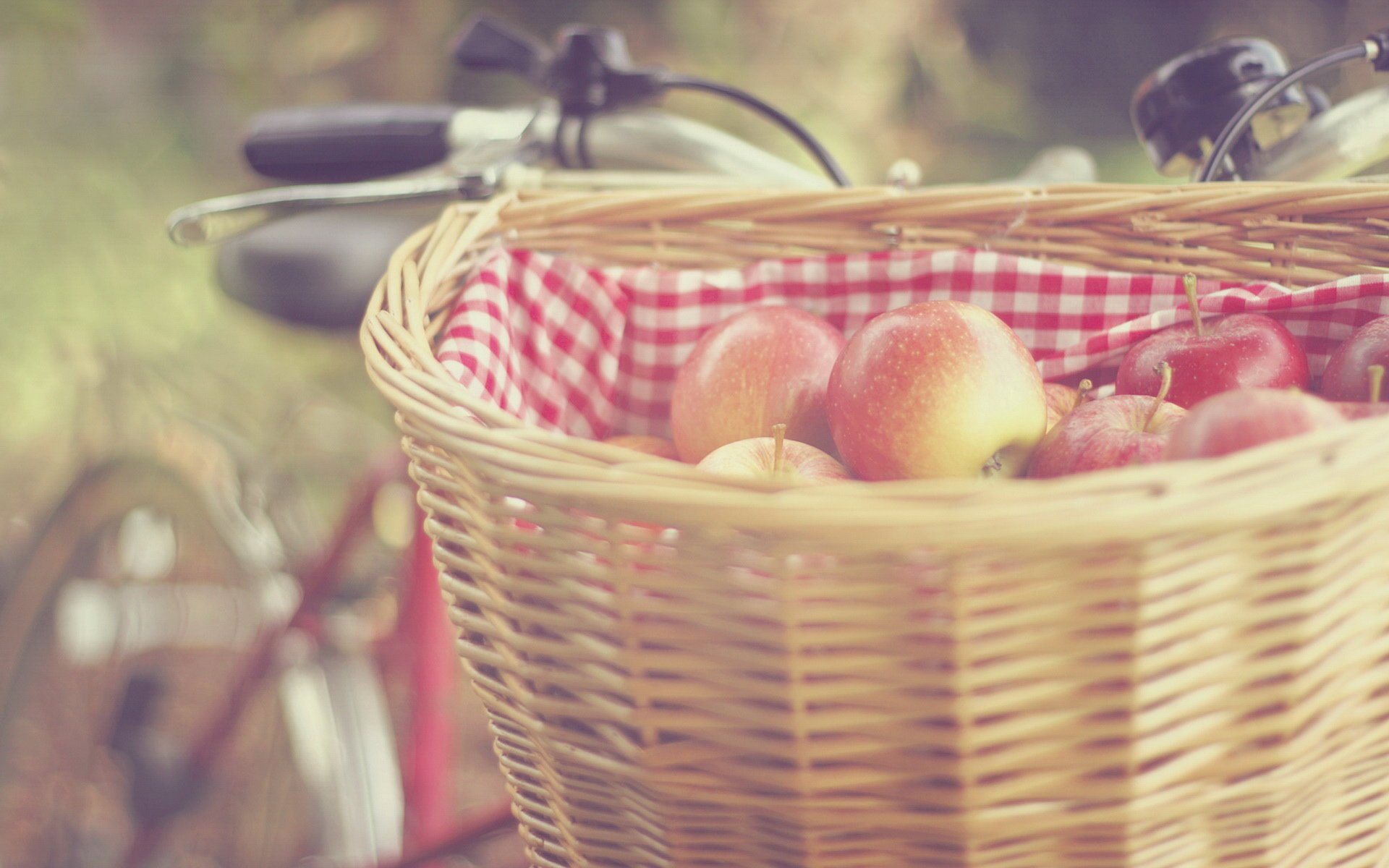 小清新 唯美 温馨 温暖 阳光 治愈系 安静 生活 慢生活 清新淡雅 温馨一刻 田园 自行车 单车