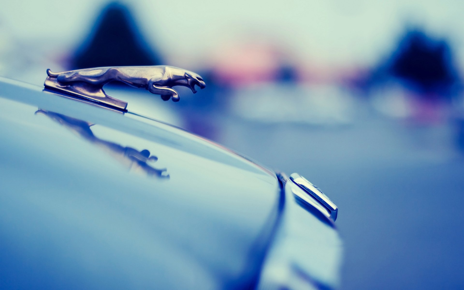 汽车 名车 车标 名车志