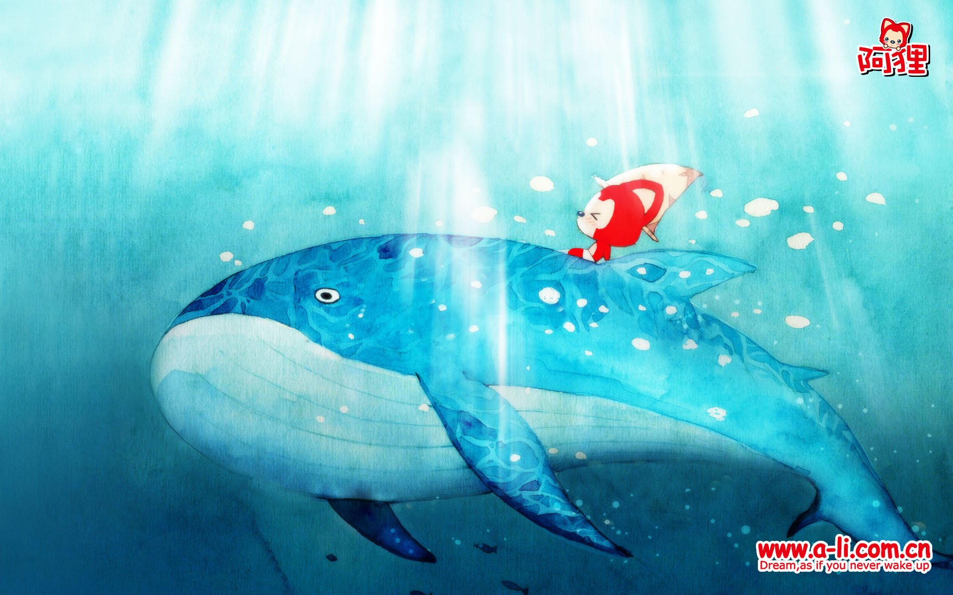 动漫 卡通 手绘  阿狸 狐狸