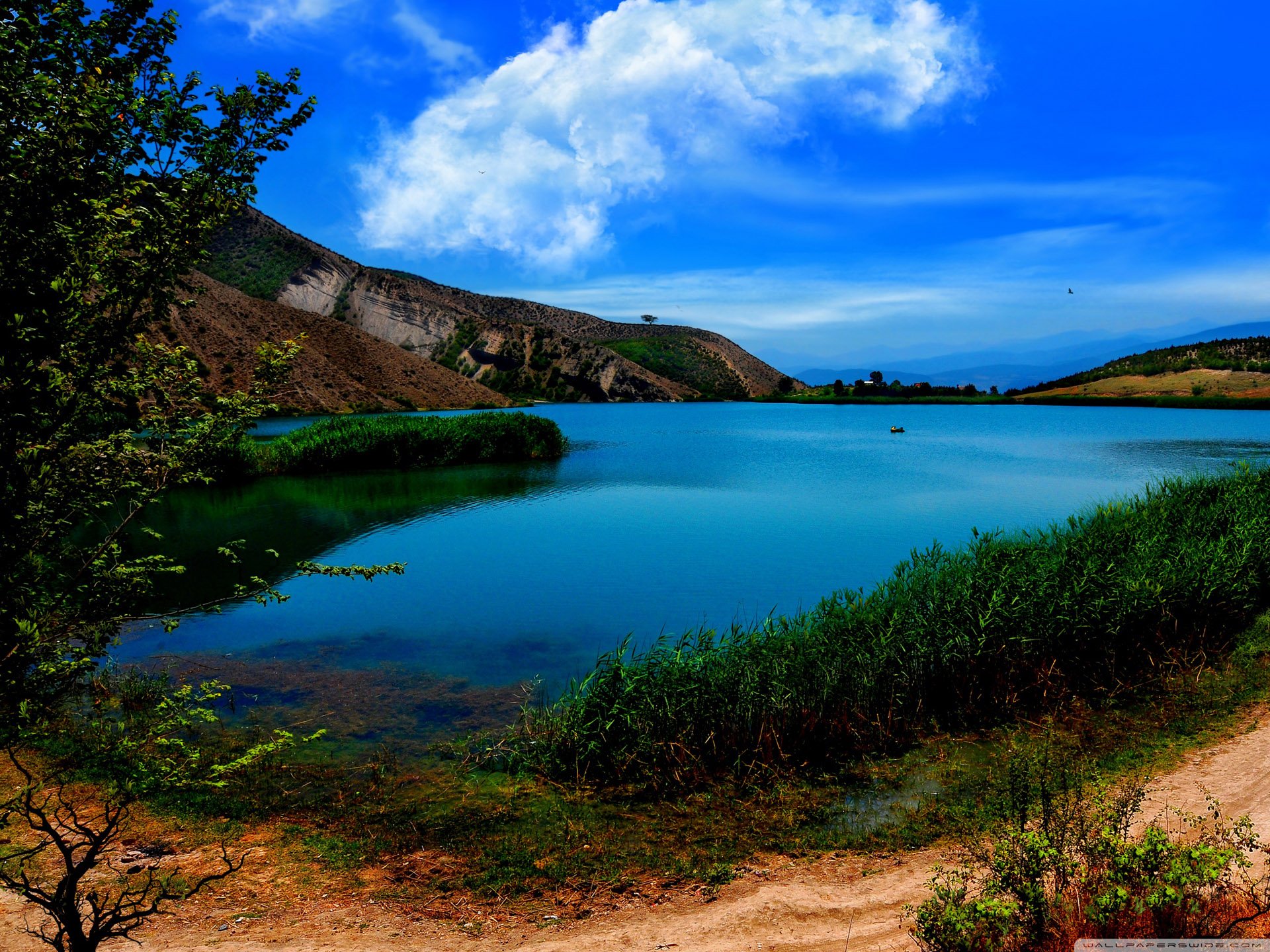 自然 风光 风景 河水 唯美