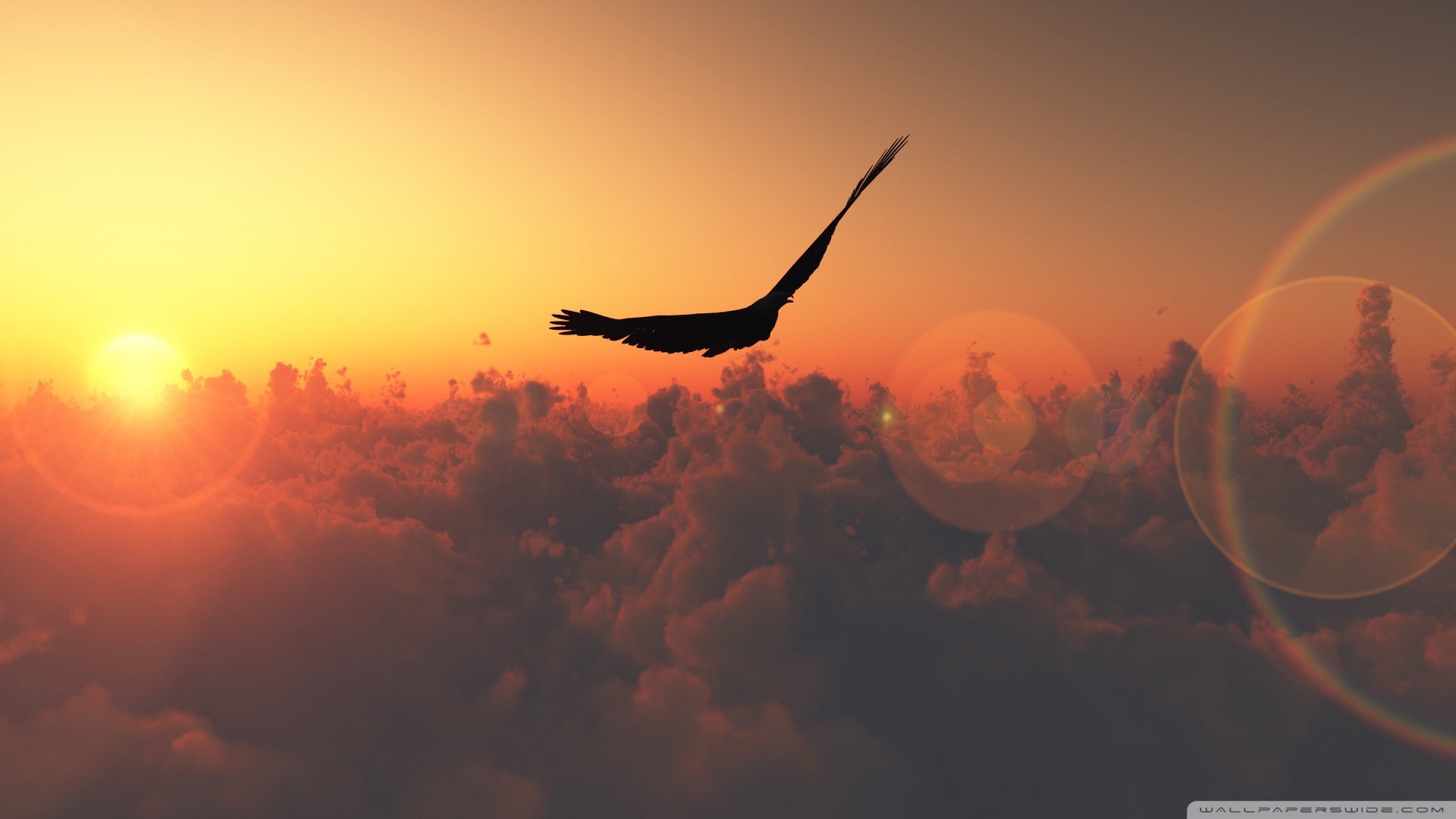 自然 风光 风景 落日余晖 夕阳 黄昏 傍晚 唯美