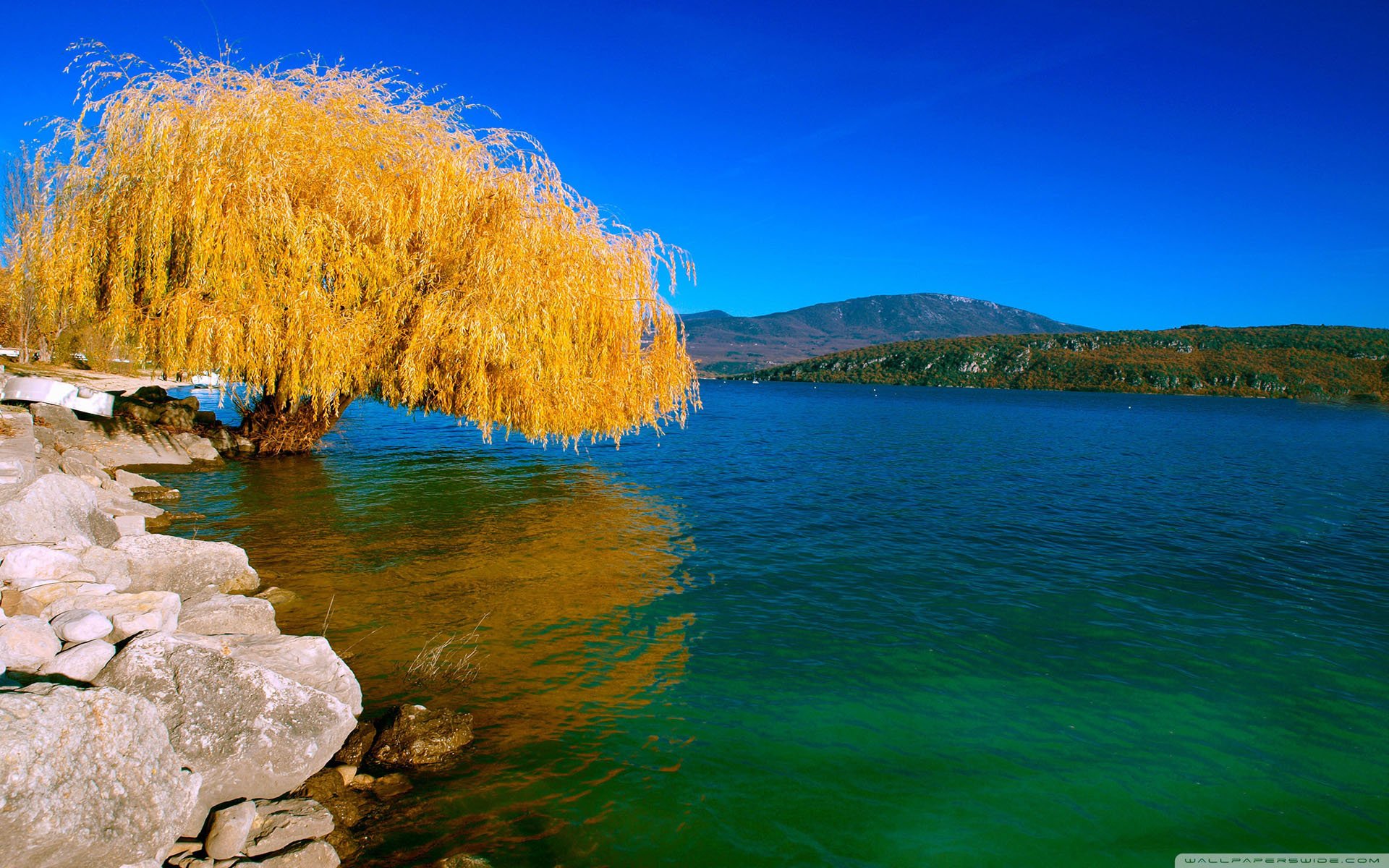 自然 风光 风景 秋天 秋意正浓