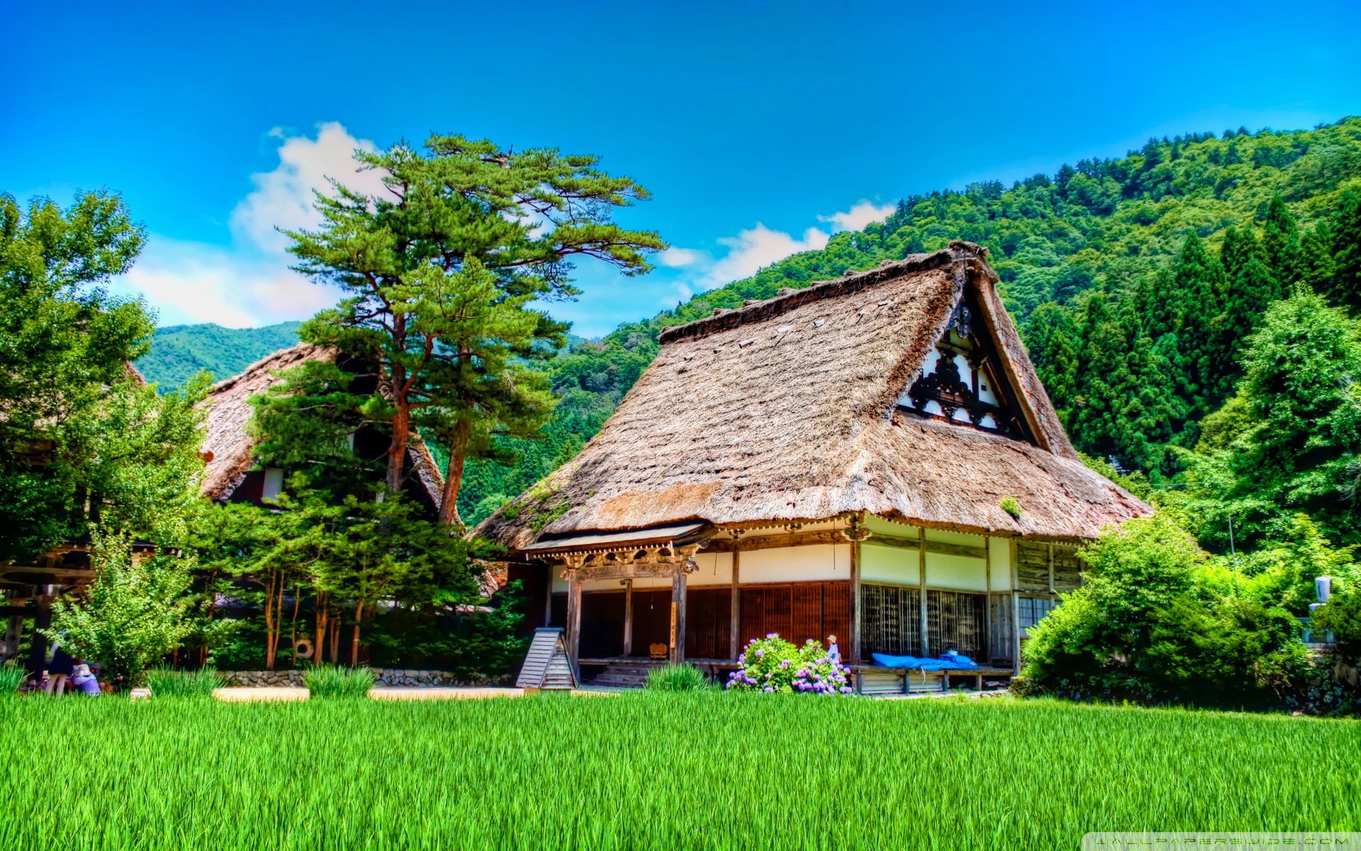 自然 风光 风景 小镇 乡村 田园 房屋 建筑