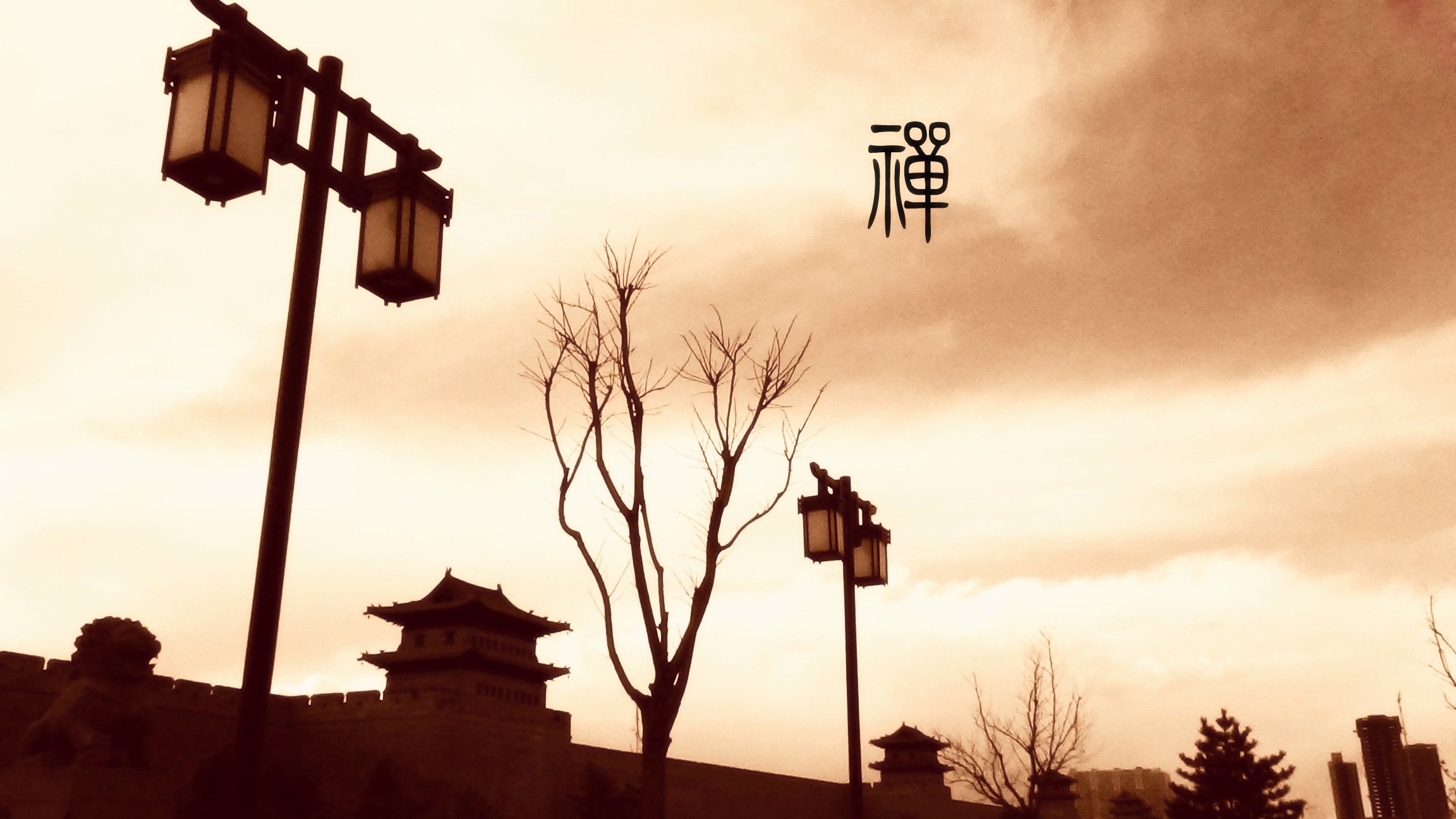 自然 风光 风景 禅境 微距 摄影 意境  安静 禅意傍晚 黄昏