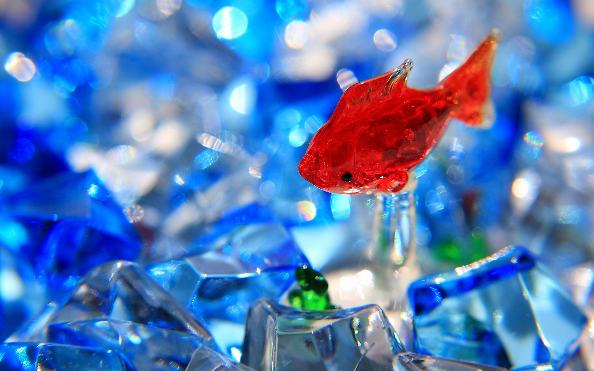 唯美 意境  金鱼 7秒的记忆