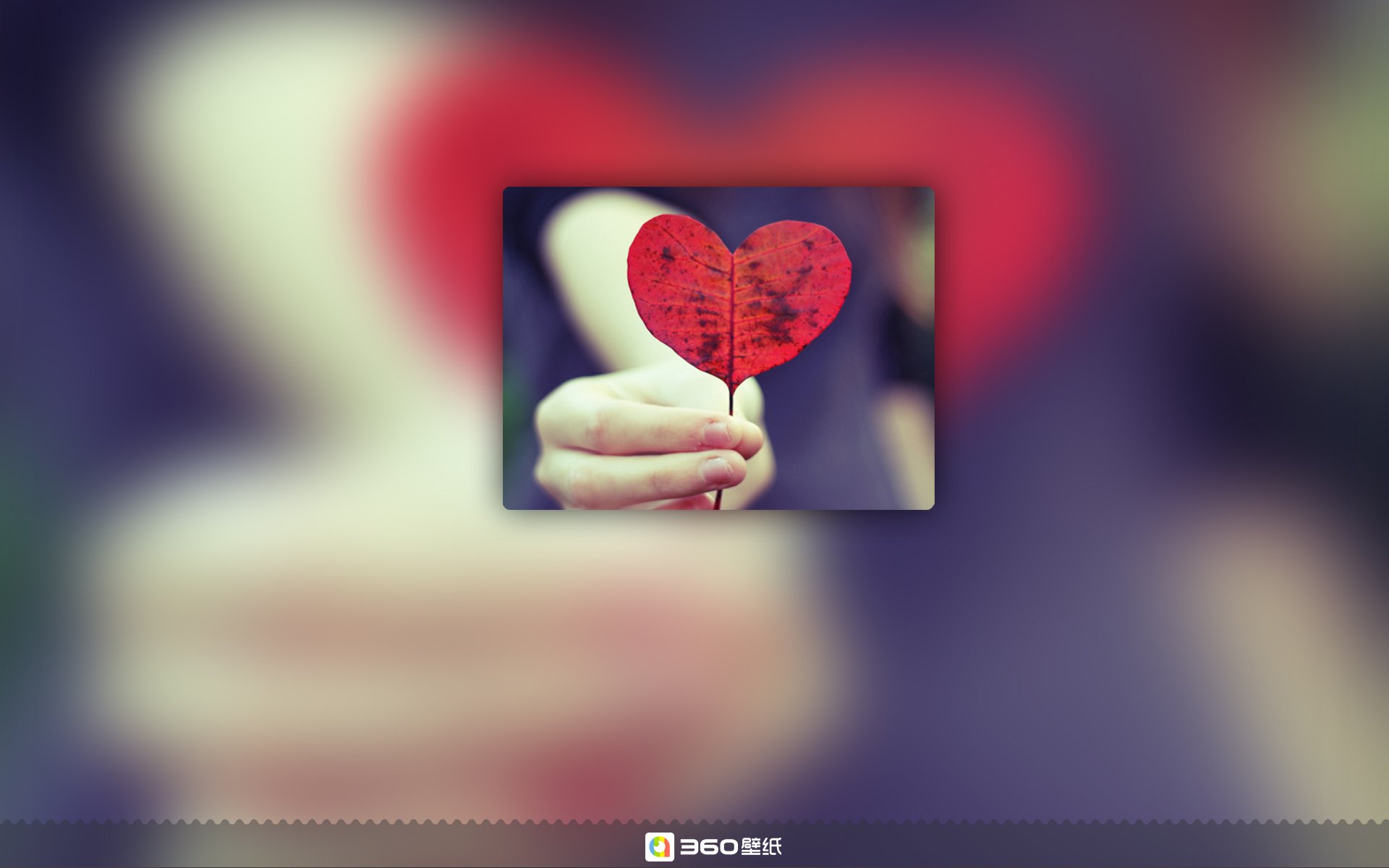 清新 唯美 孤单 伤感 寂寞 意境 去年那日，今年今时 模糊 朦胧