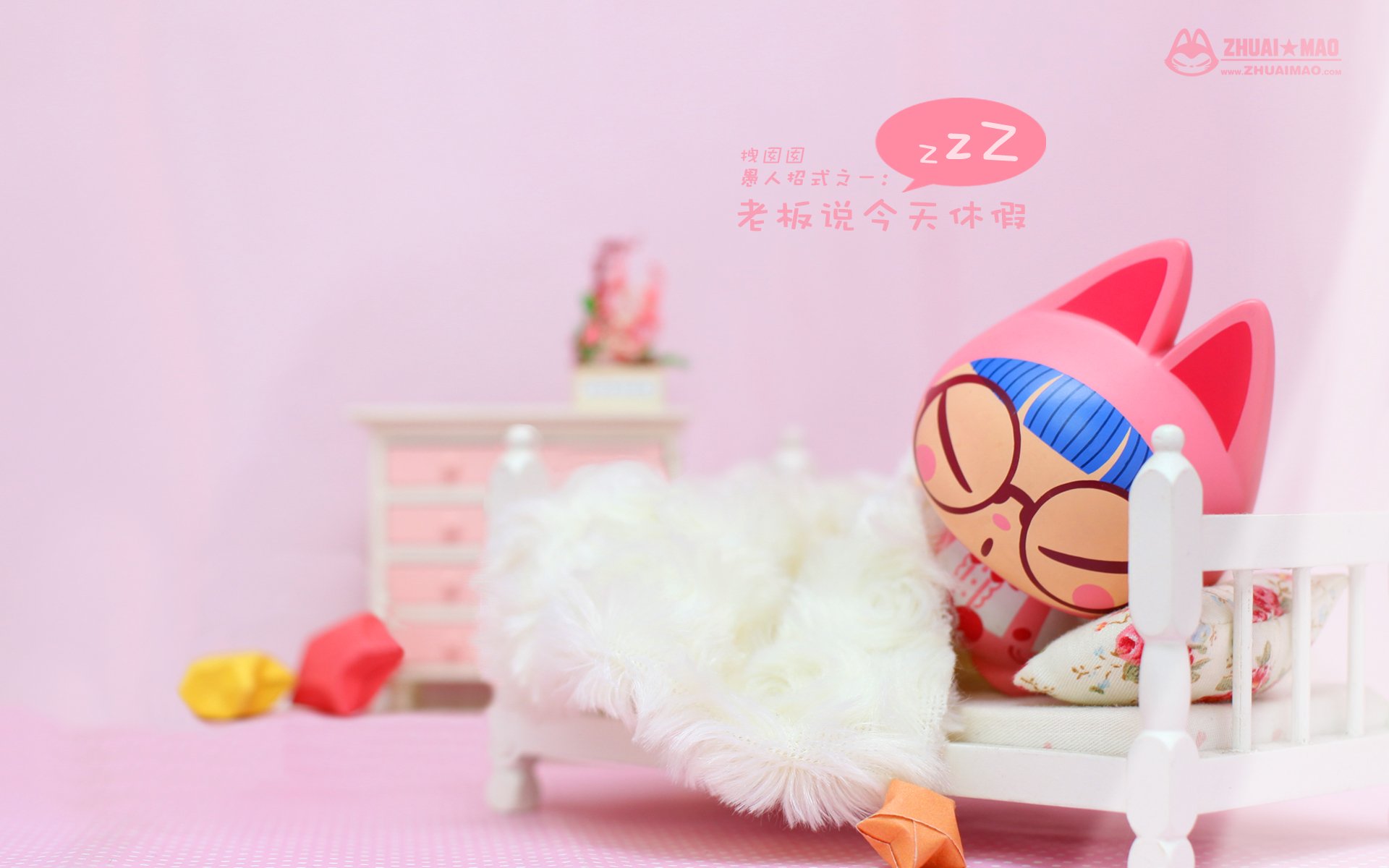 拽猫 可爱 动漫 摄影 静物微距