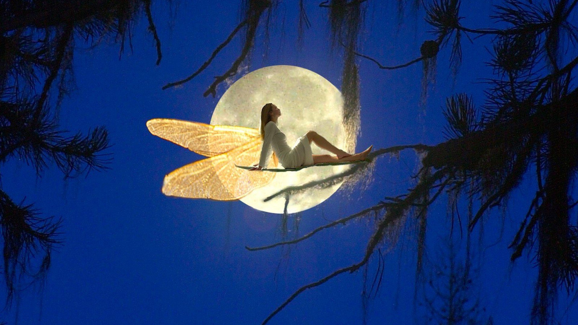 睡觉 晚安 把世界忘掉 安静 温馨 月亮 夜晚 星星 梦乡 睡梦