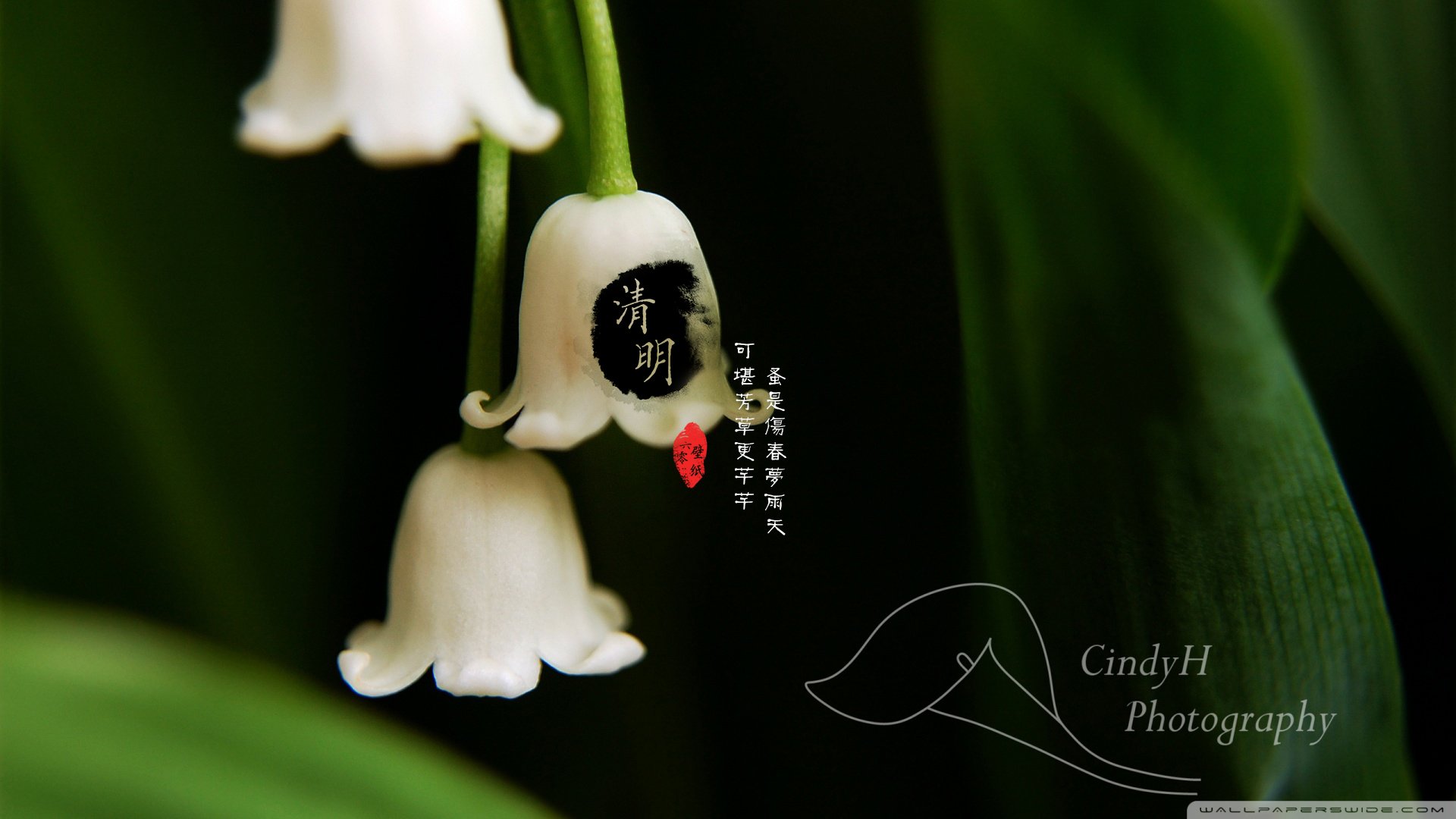 清明节 古风 古诗 诗句 意境 节气 24节气 二十四节气 @姑凉_你又瘦了