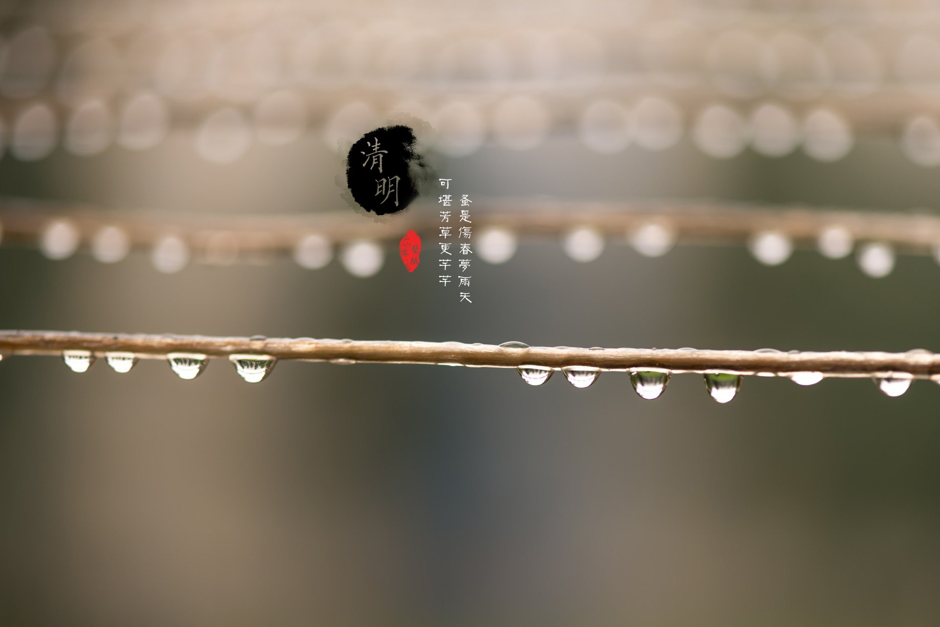 清明节 古风 古诗 诗句 意境 节气 24节气 二十四节气 @姑凉_你又瘦了