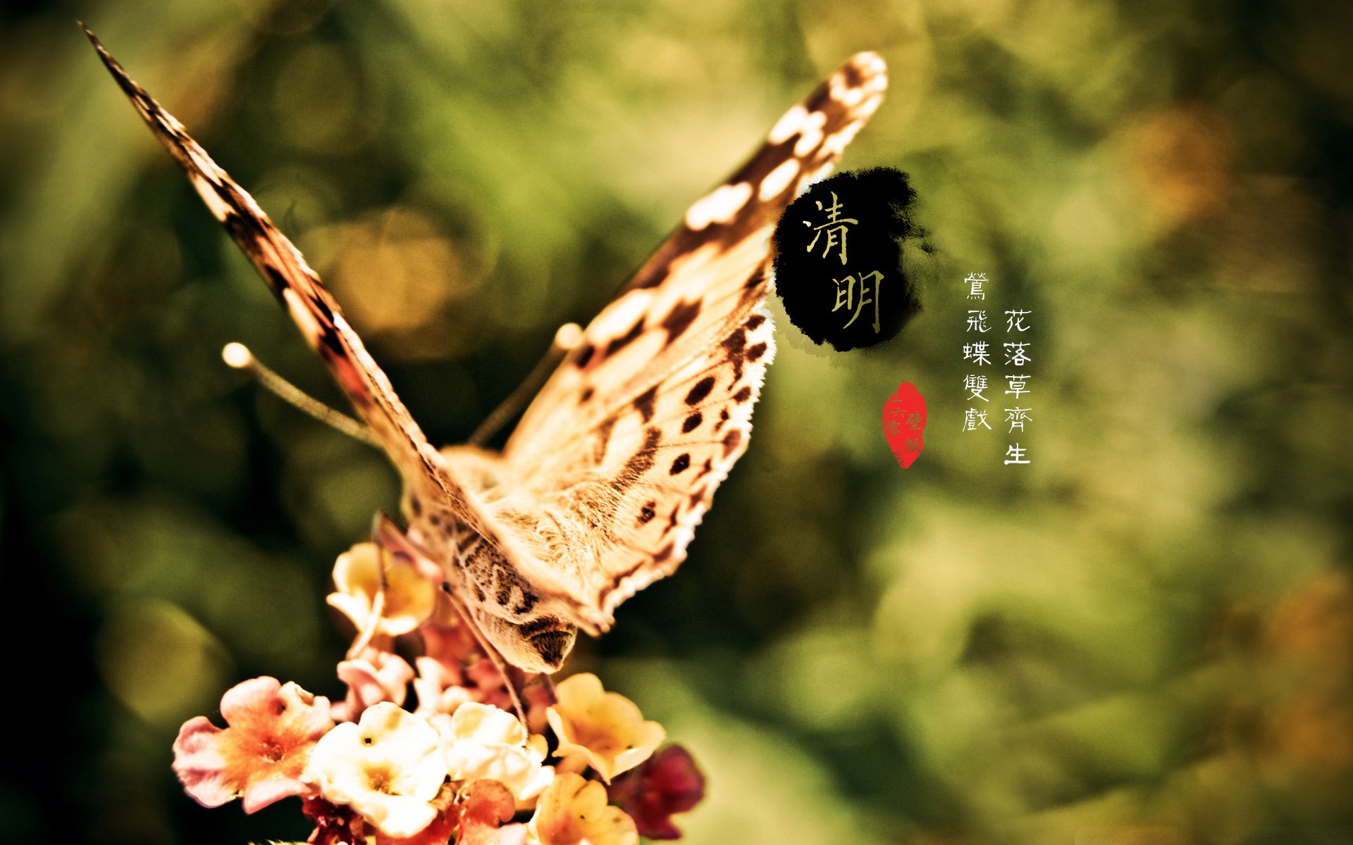 清明节 古风 古诗 诗句 意境 节气 24节气 二十四节气 @姑凉_你又瘦了