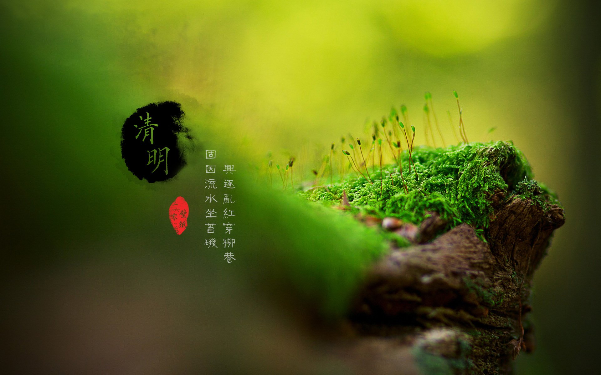 清明节 古风 古诗 诗句 意境 节气 24节气 二十四节气 @姑凉_你又瘦了