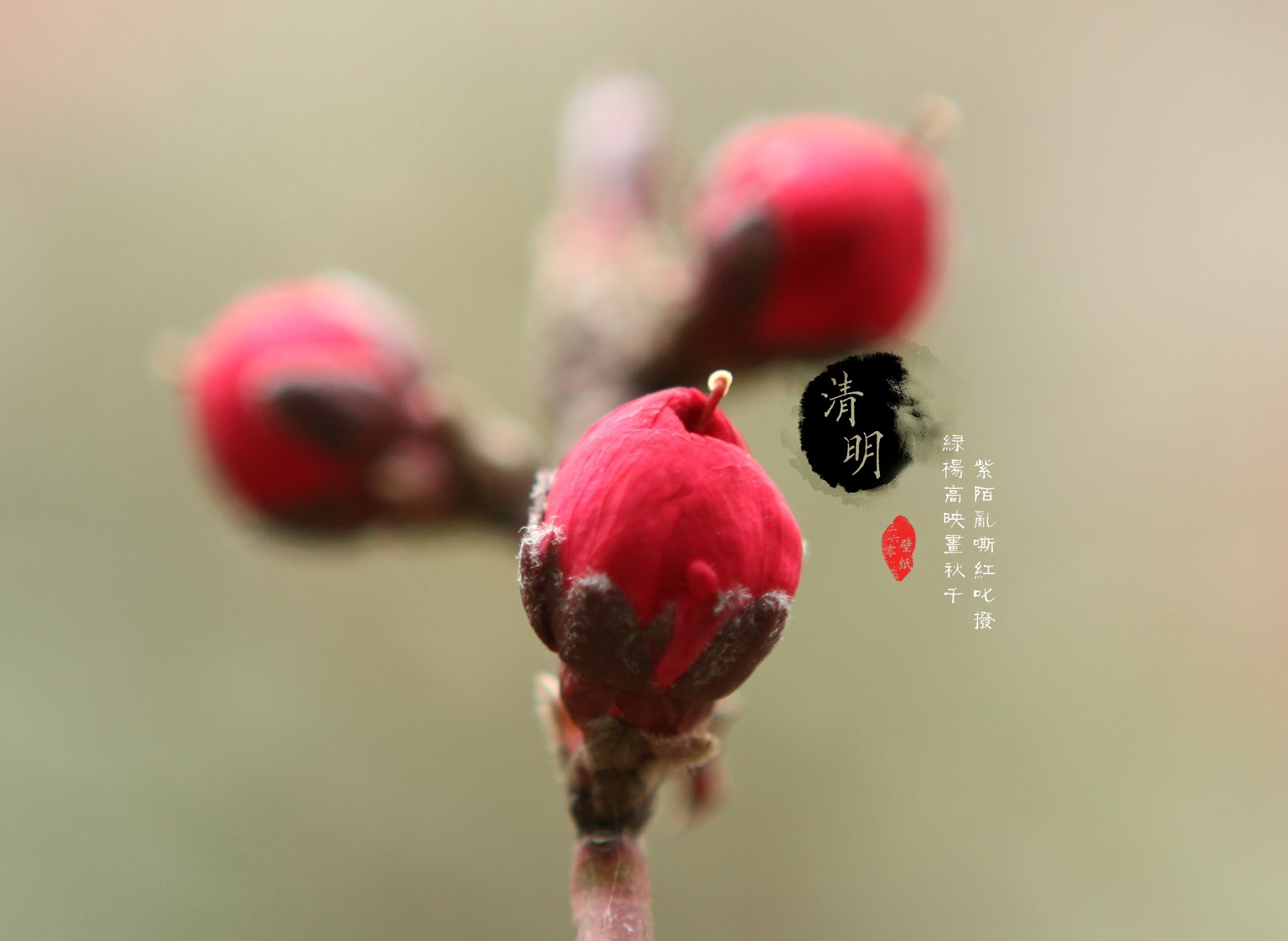 清明节 古风 古诗 诗句 意境 节气 24节气 二十四节气 @姑凉_你又瘦了