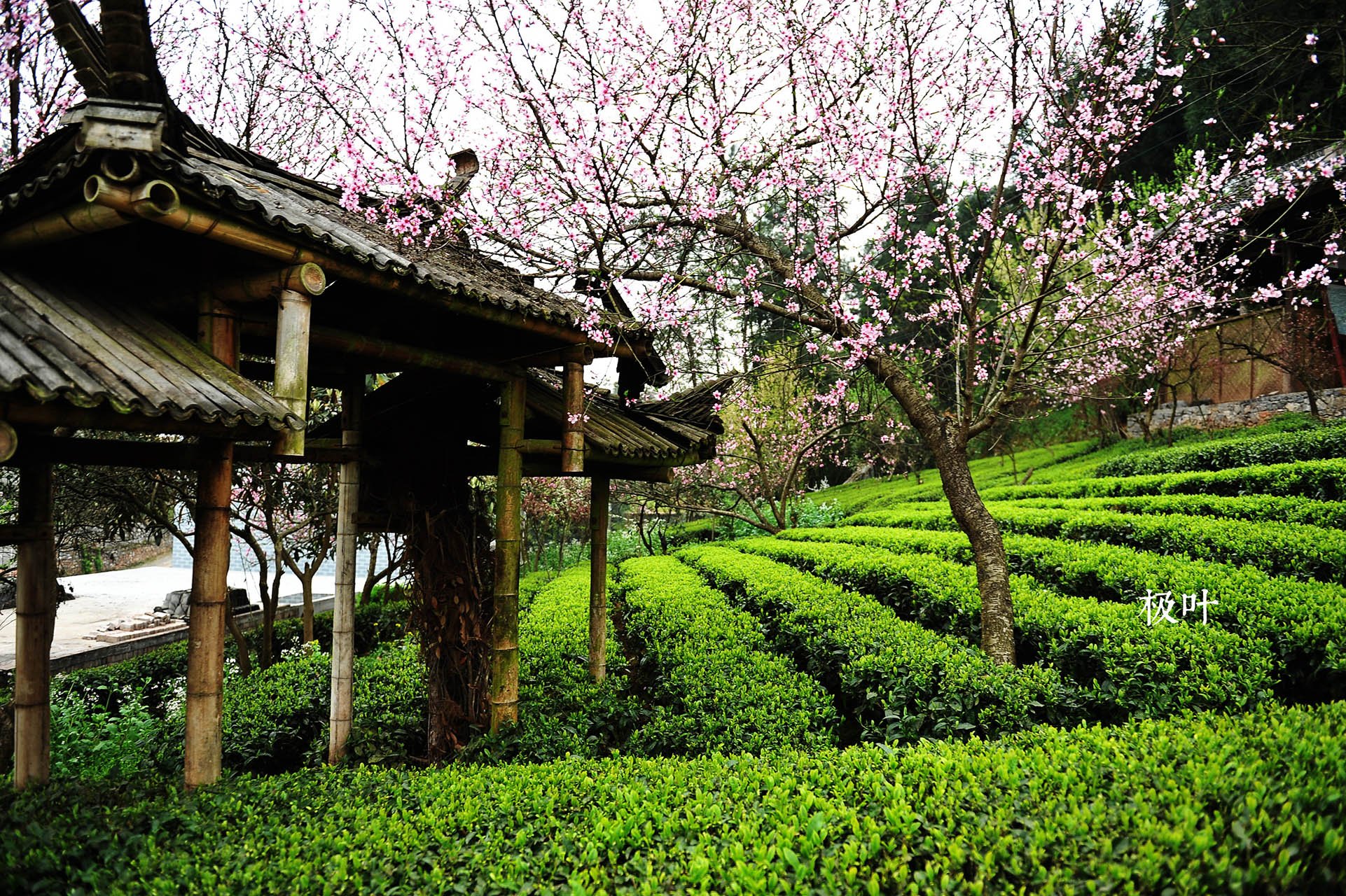恩施摄影师 风景 唯美 意境