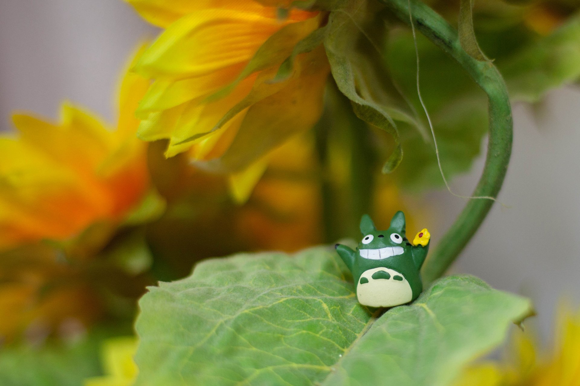 小清新 唯美 温暖 温馨一刻 静物写真 龙猫