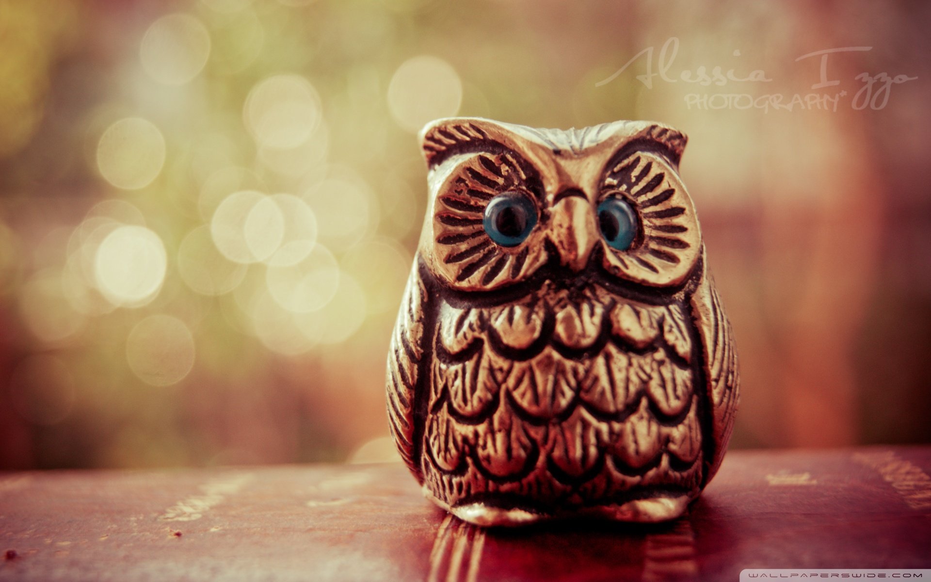 小清新 唯美 温暖 温馨一刻 静物写真