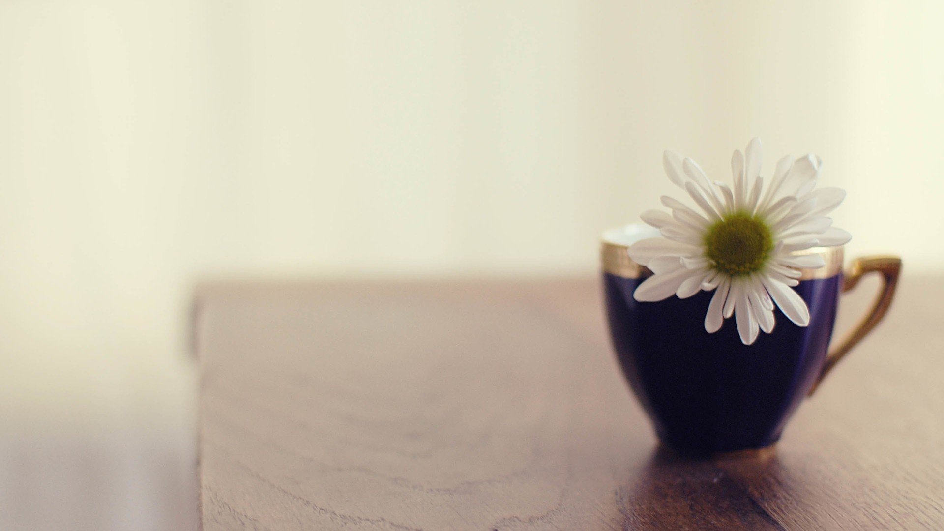 小清新 唯美 温暖 温馨一刻 静物写真