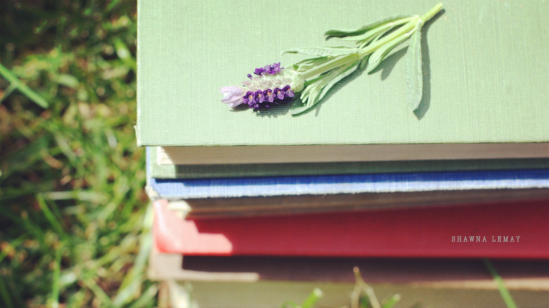 小清新 唯美 温暖 温馨一刻 静物写真