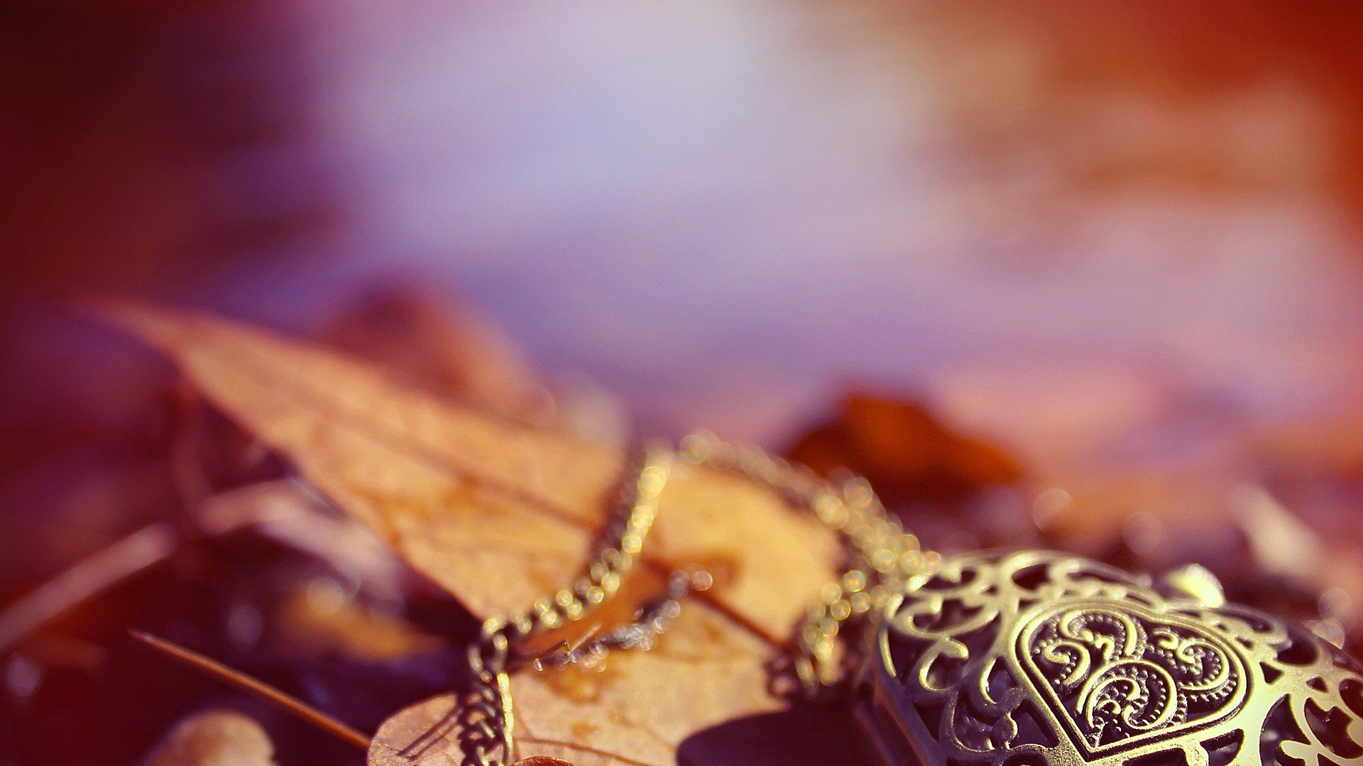 小清新 唯美 温暖 温馨一刻 静物写真