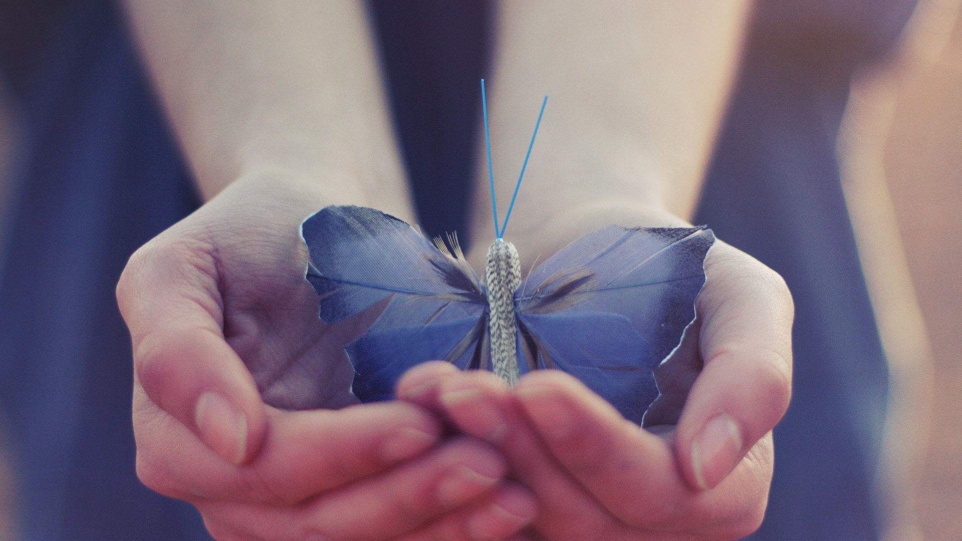 小清新 唯美 温暖 温馨一刻 静物写真