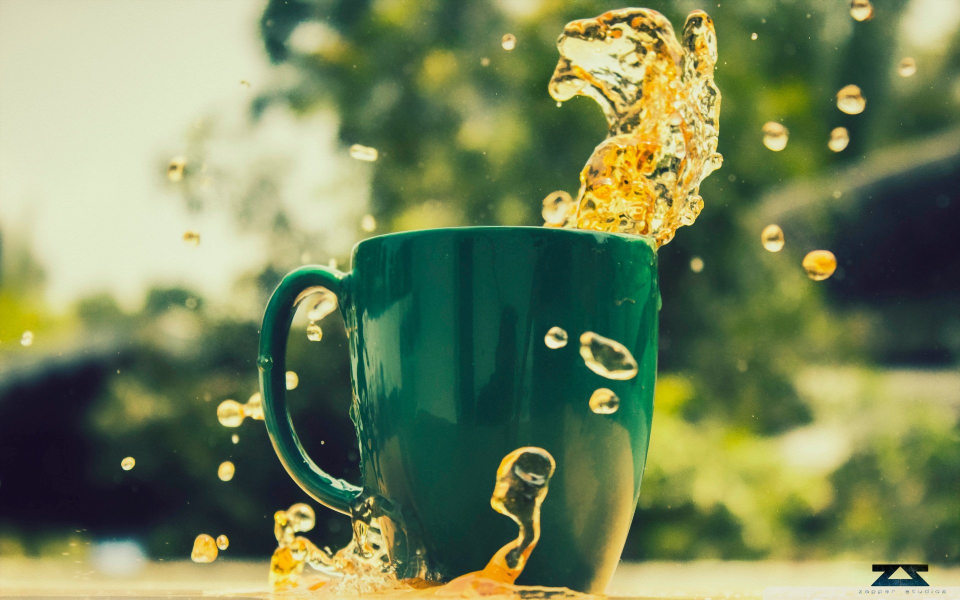 小清新 唯美 温暖 温馨一刻 静物写真