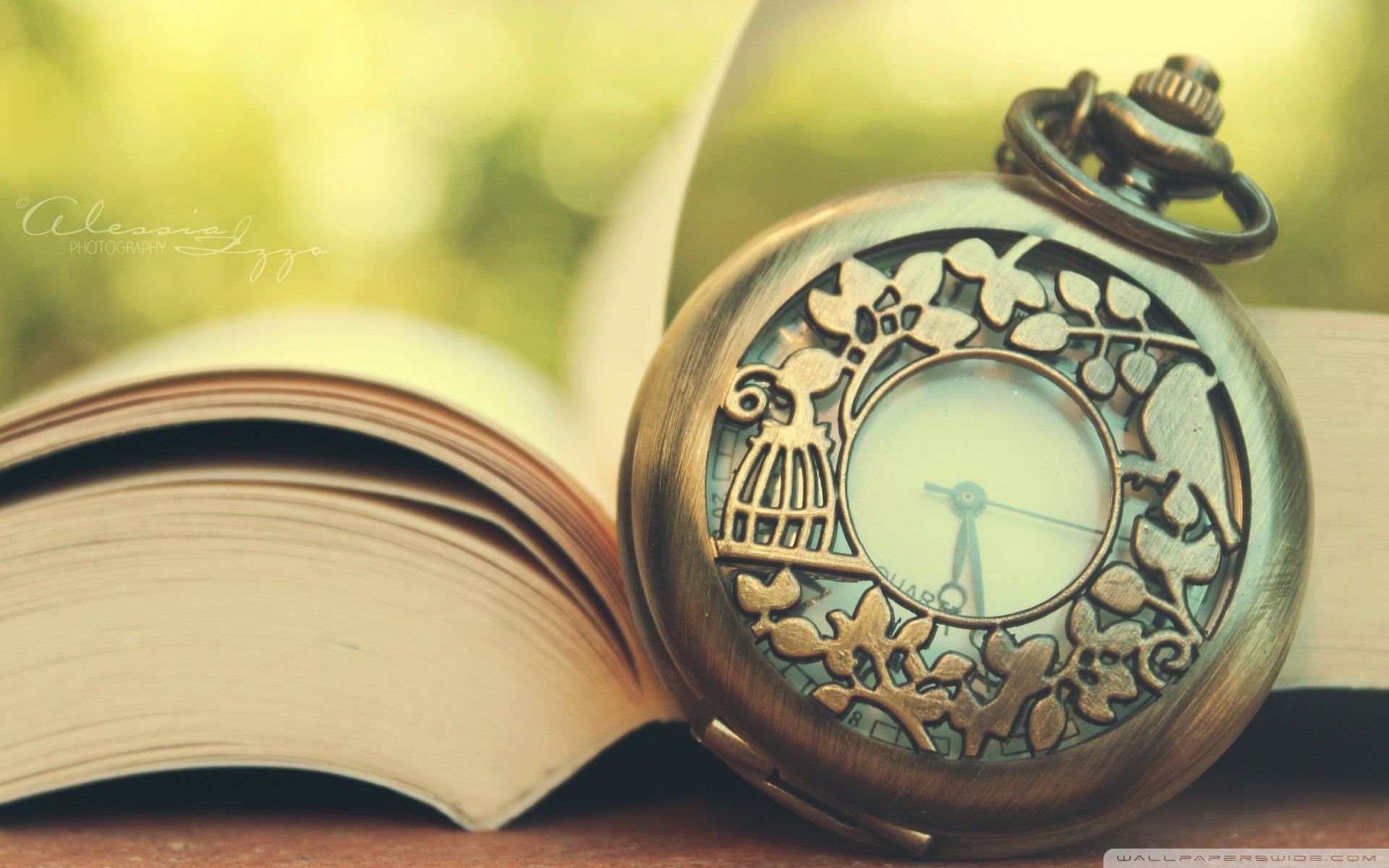 小清新 唯美 温暖 温馨一刻 静物写真