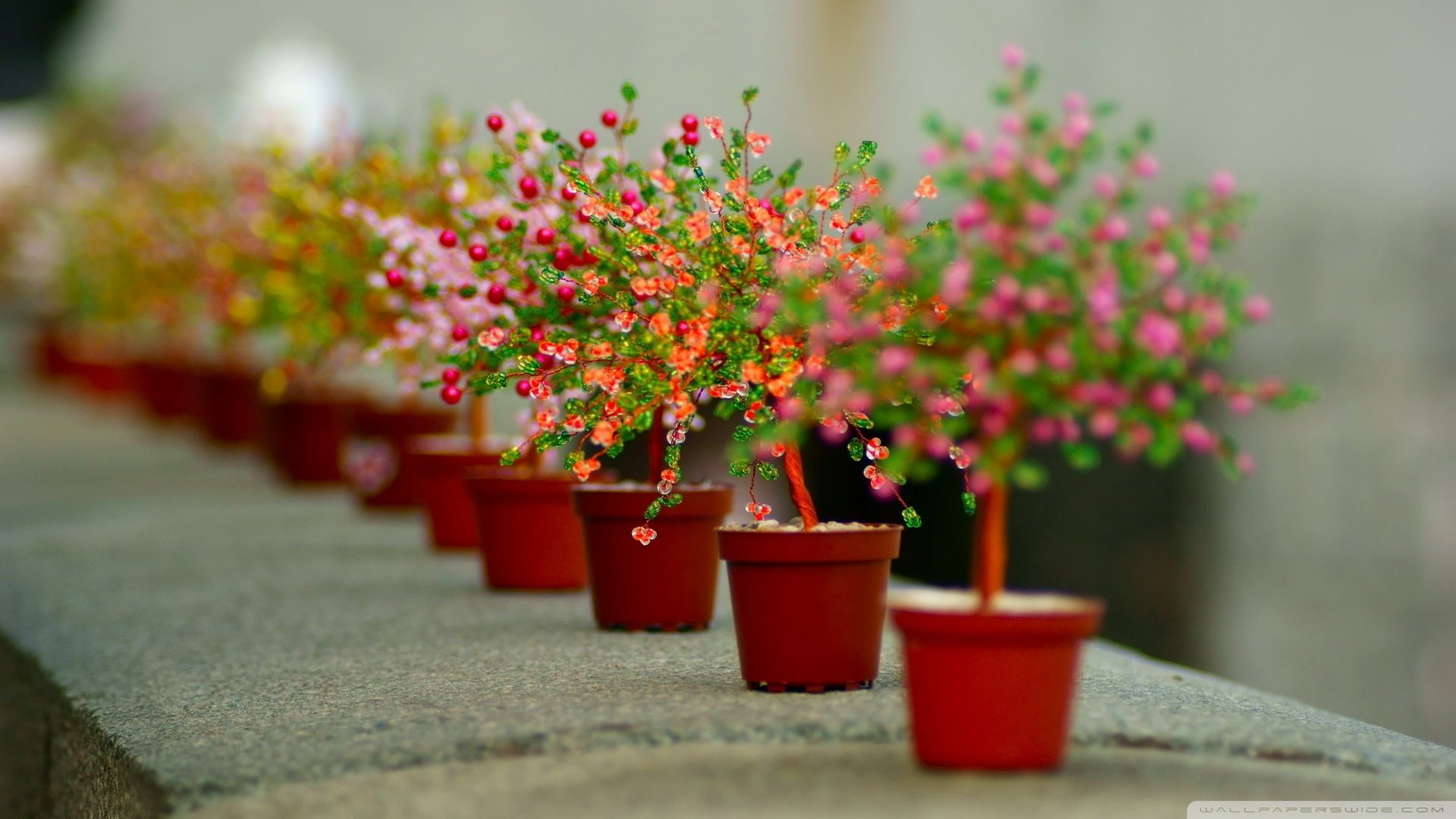 小清新 唯美 温暖 温馨一刻 静物写真