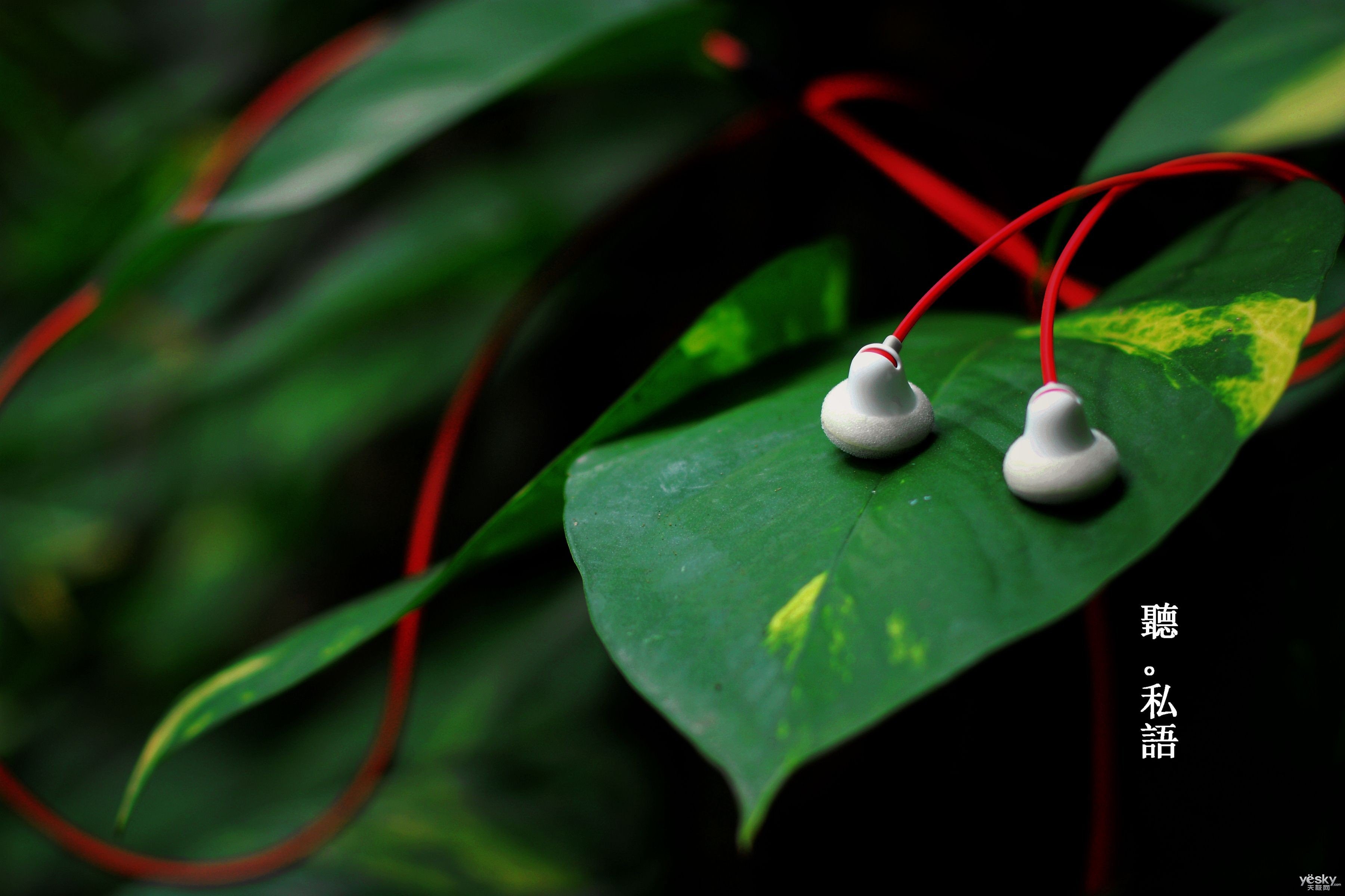 小清新 唯美 温暖 温馨一刻 静物写真