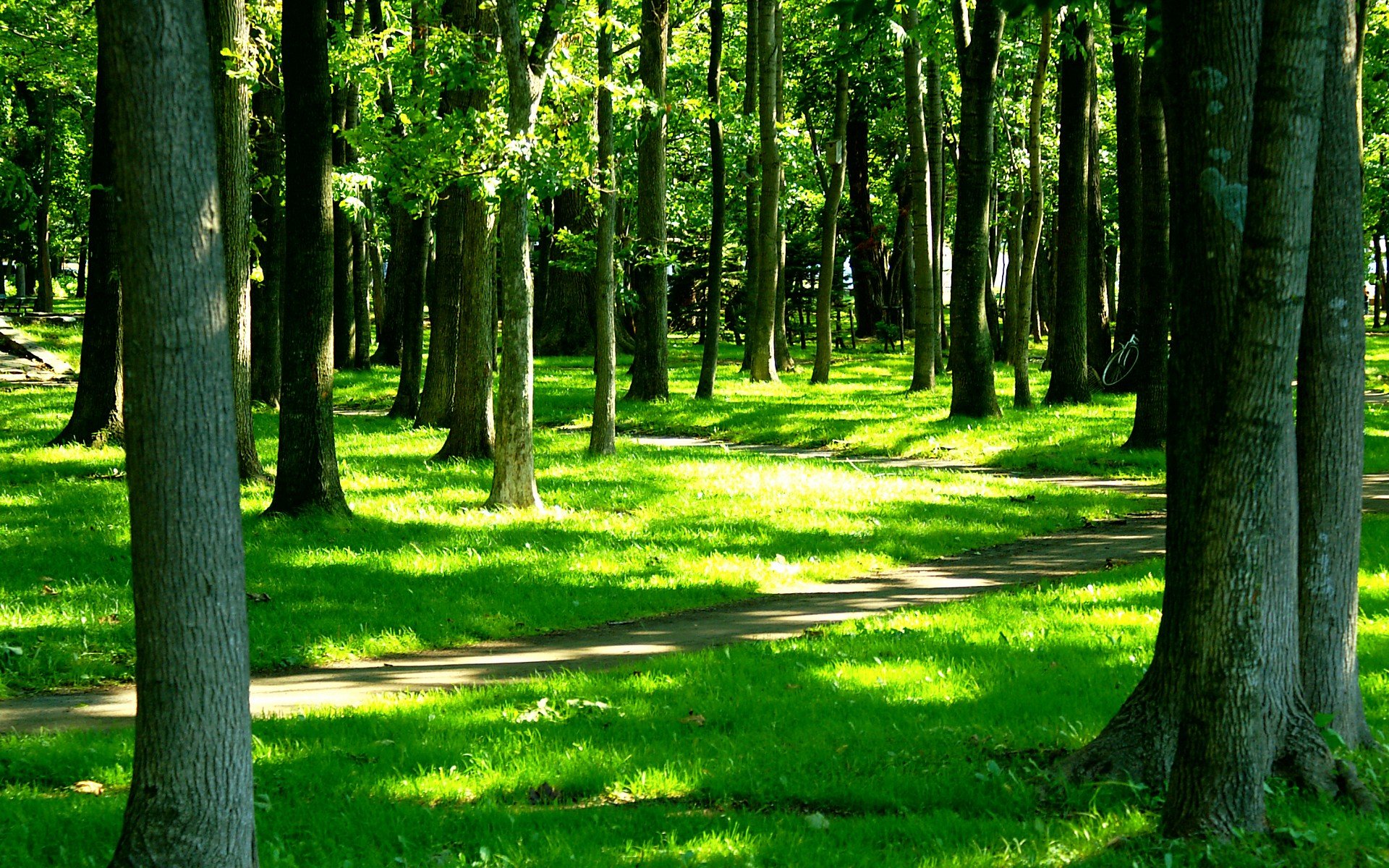 小清新 风景 自然风光 绿色植物 绿色养眼 春天 唯美 安静